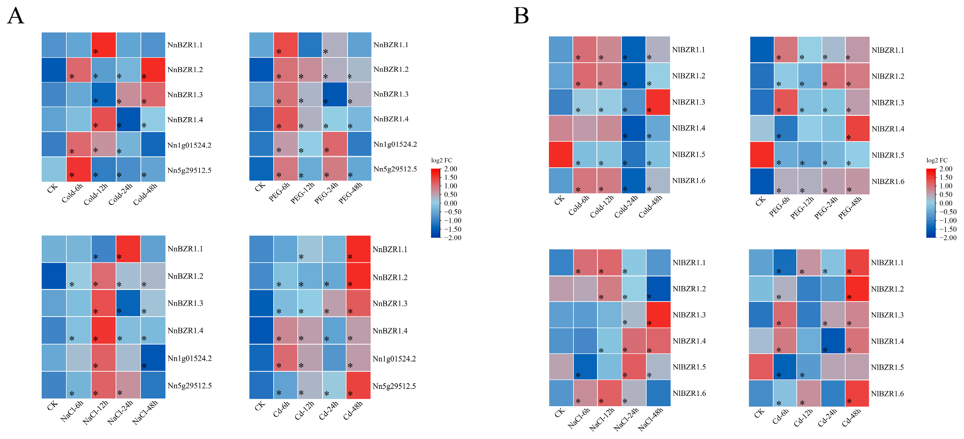 Horticulturae 09 00882 g008 Horticulturae 09 00882 g008
