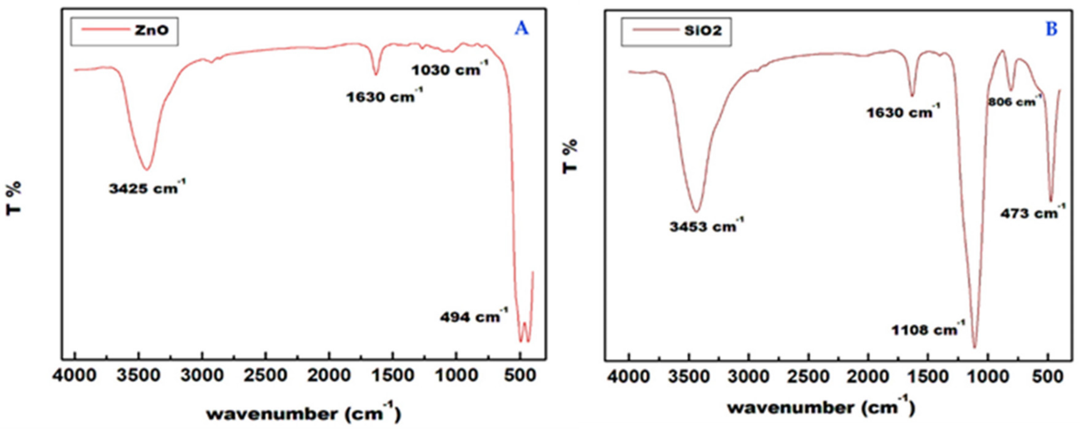 Horticulturae 09 00883 g002