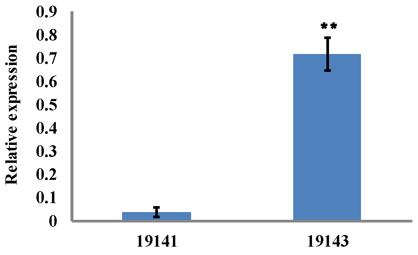 Horticulturae 09 00888 g004