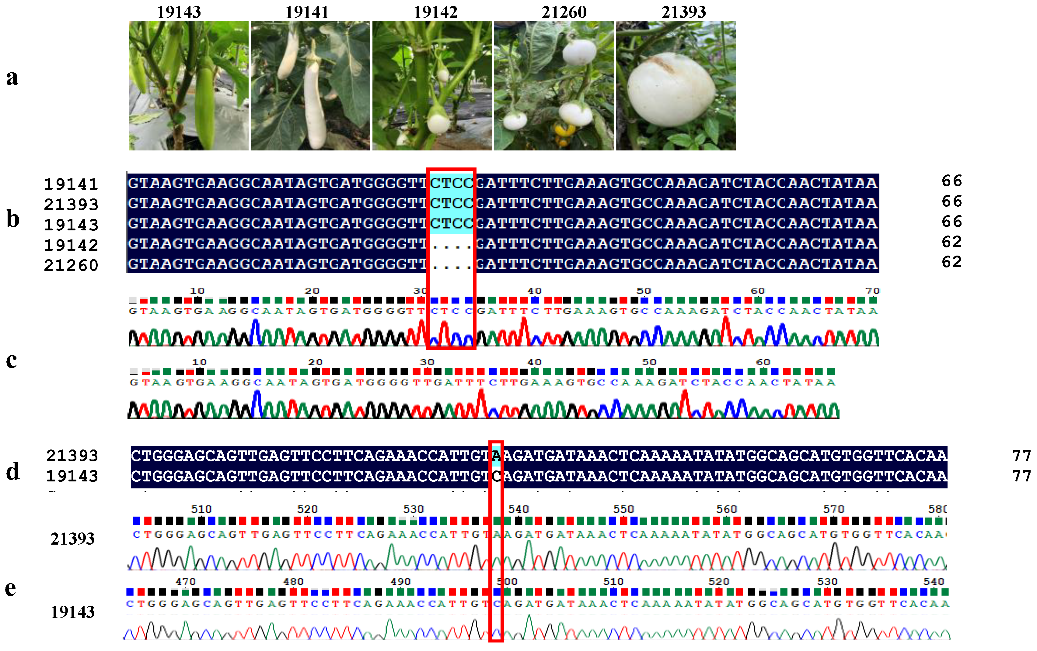 Horticulturae 09 00888 g009