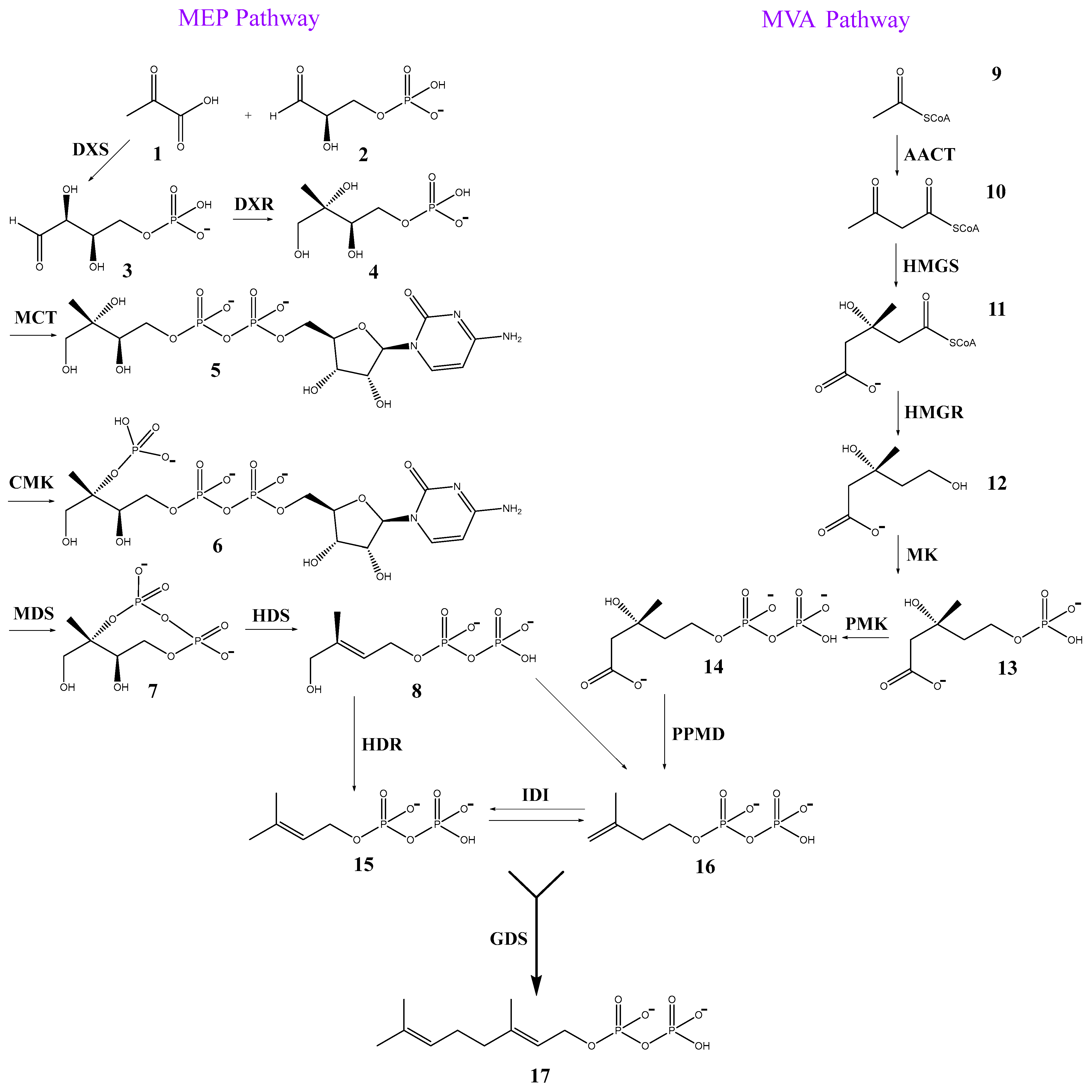 Horticulturae 09 00896 g002