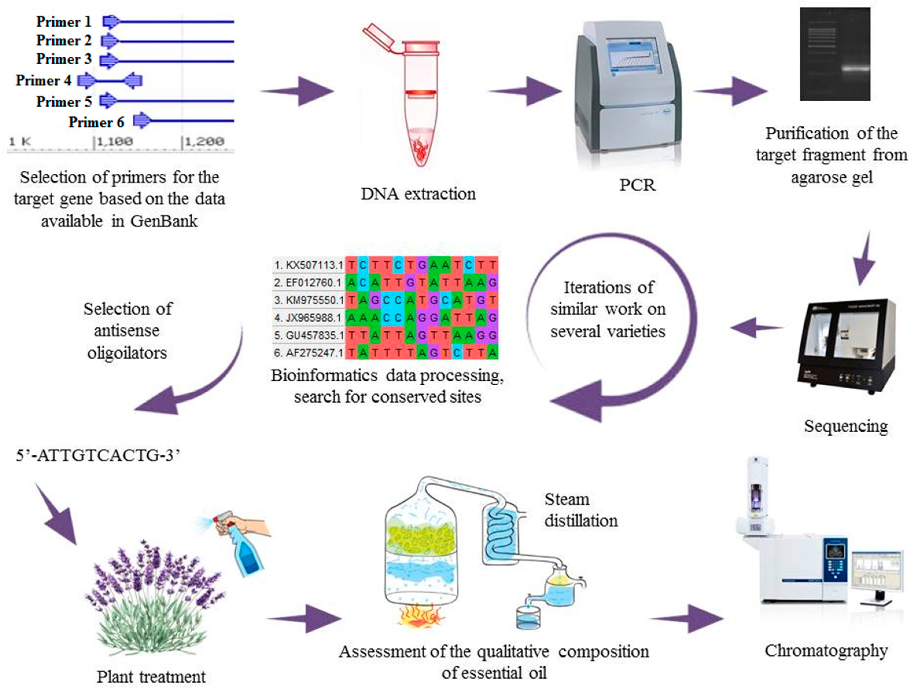 Horticulturae 09 00896 g004