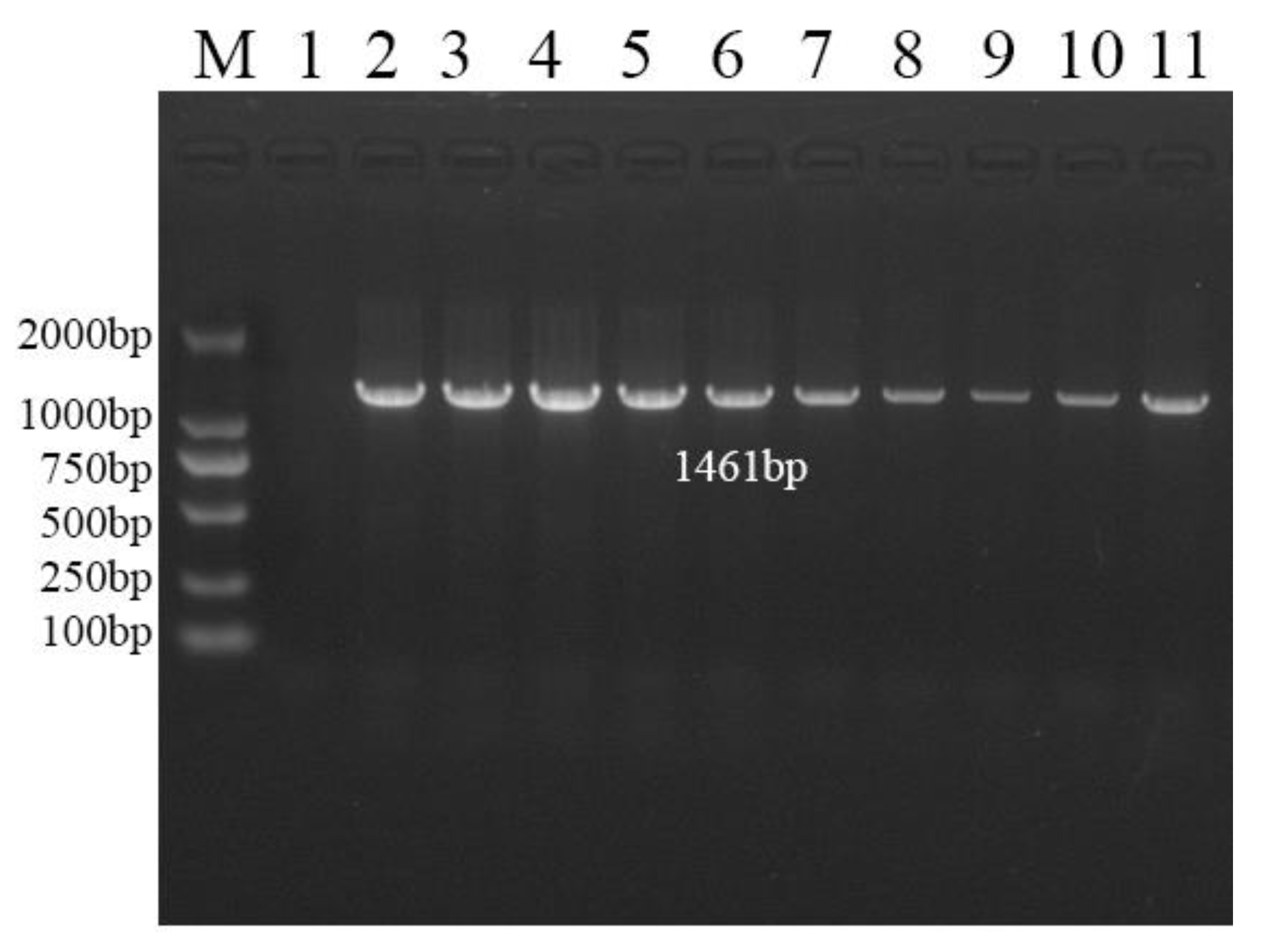 Horticulturae 09 00904 g007 Horticulturae 09 00904 g007