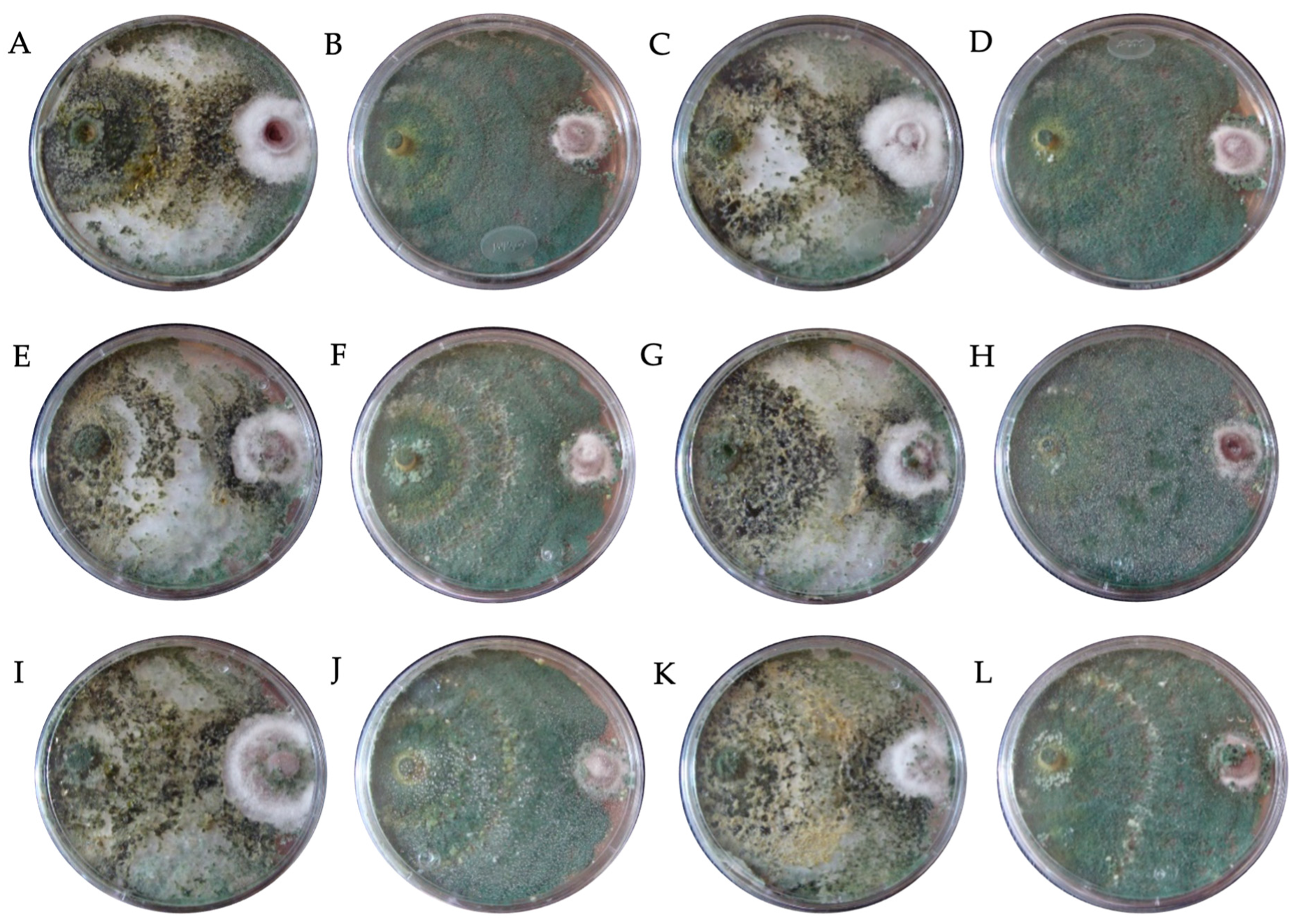 Horticulturae 09 00905 g002 Horticulturae 09 00905 g002