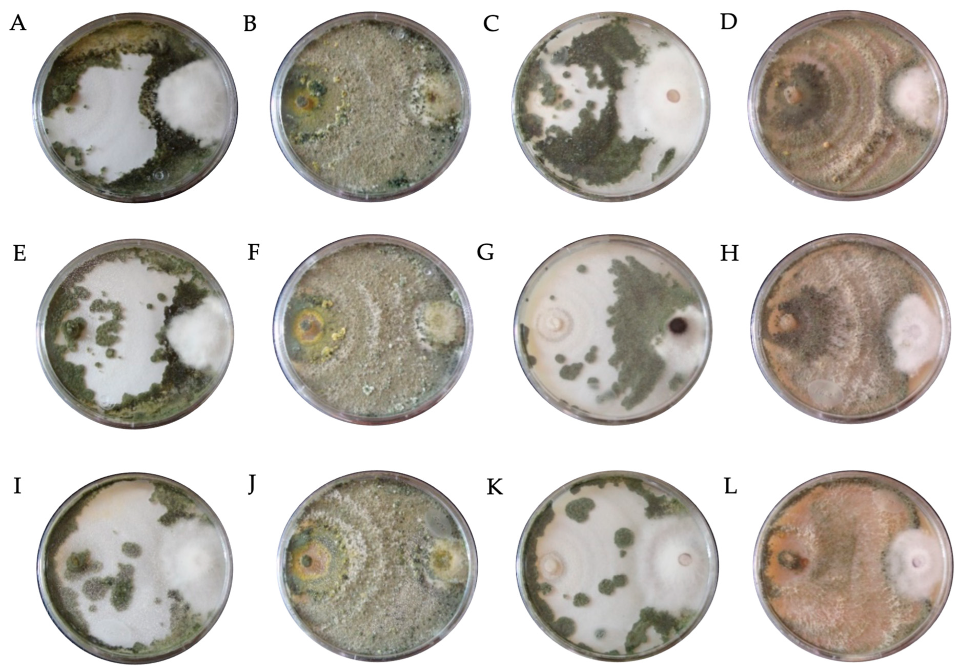 Horticulturae 09 00905 g003 Horticulturae 09 00905 g003