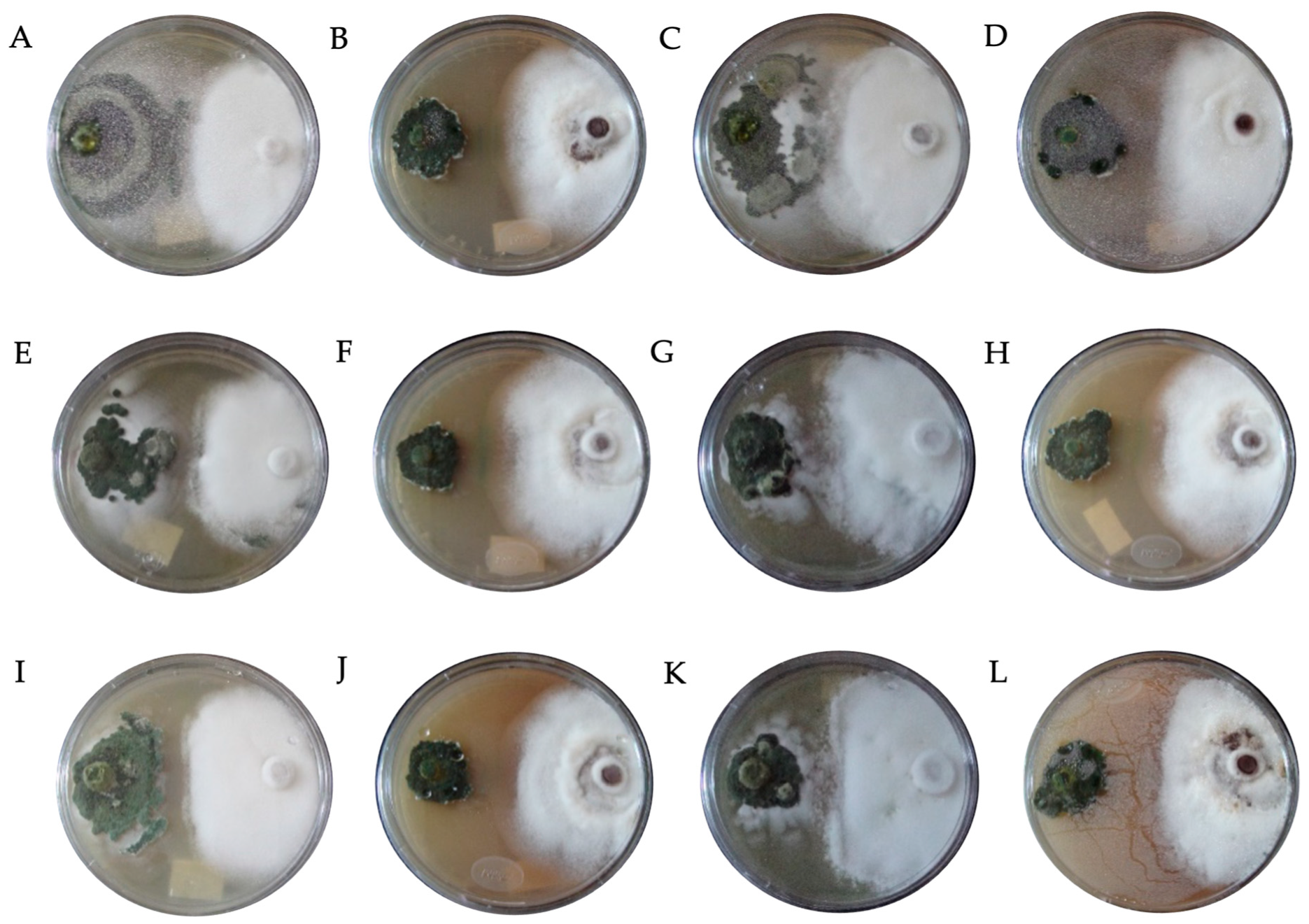 Horticulturae 09 00905 g004 Horticulturae 09 00905 g004
