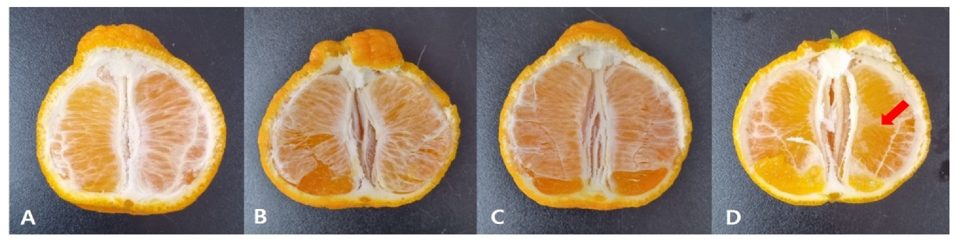 Horticulturae 09 00906 g003 Horticulturae 09 00906 g003