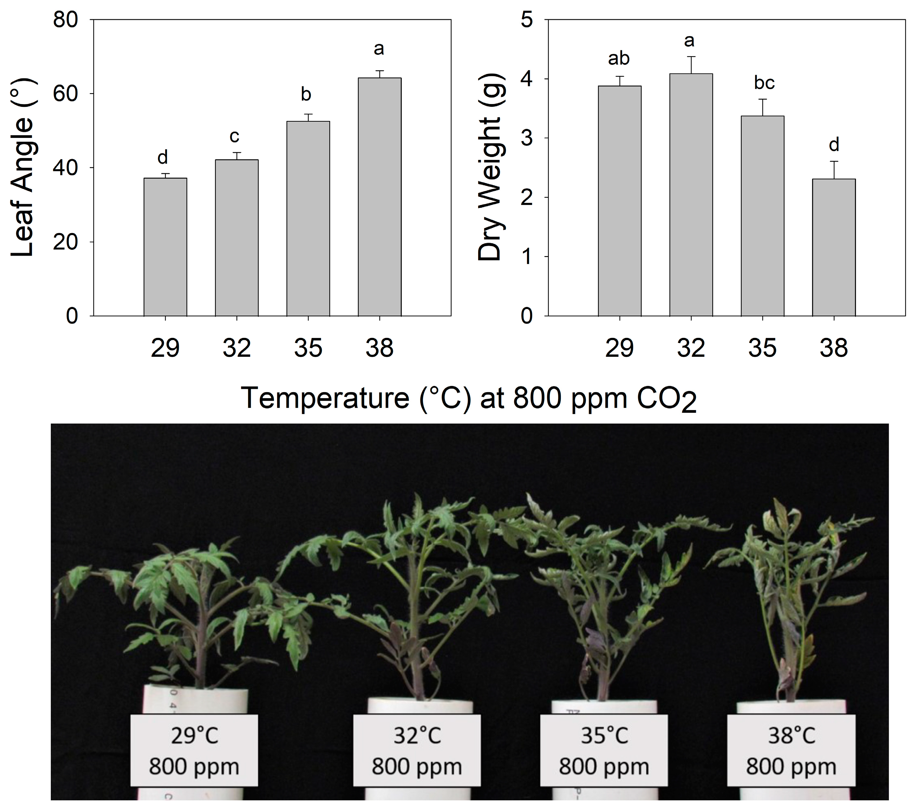 Horticulturae 09 00907 g002