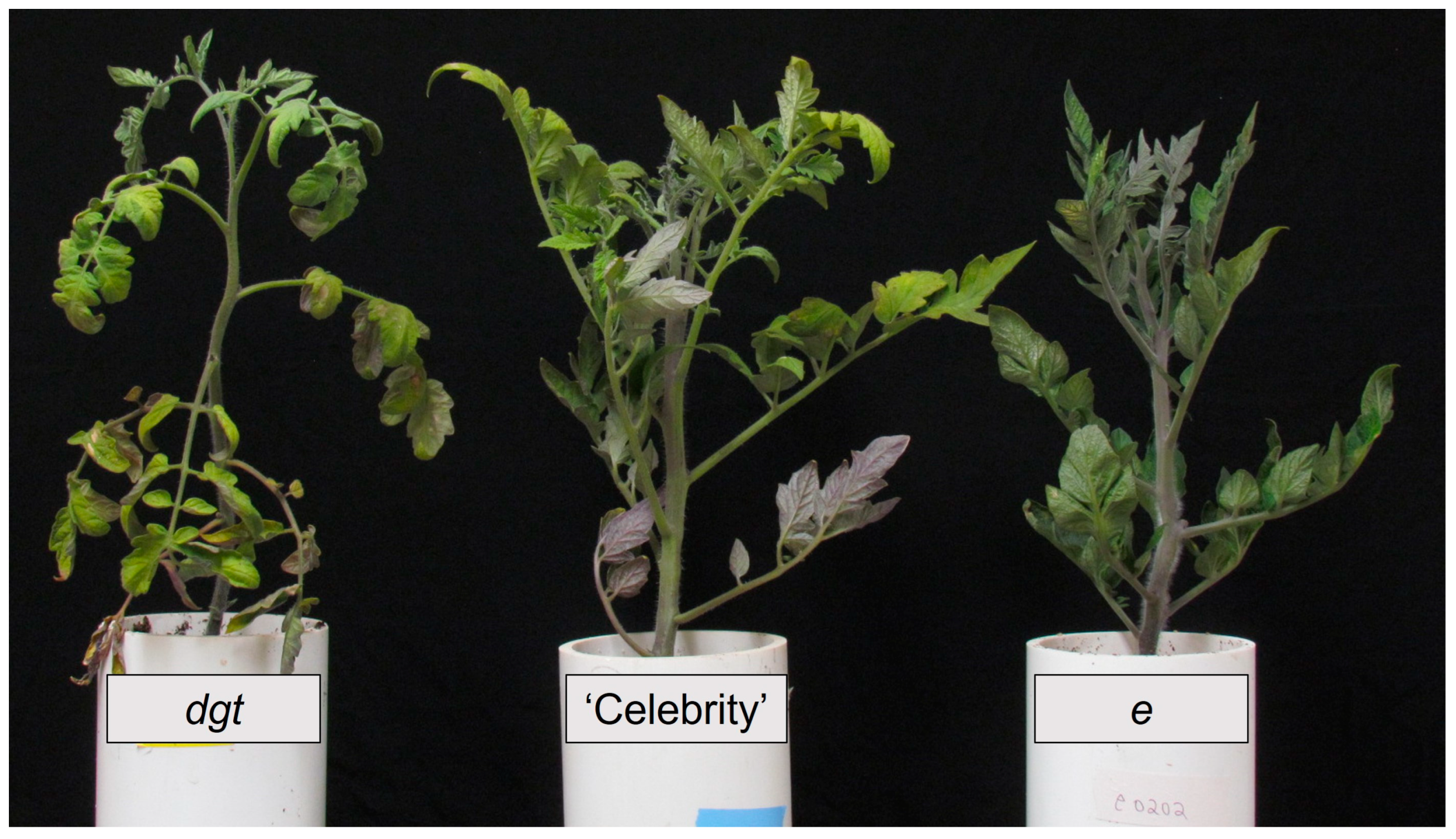 Horticulturae 09 00907 g007