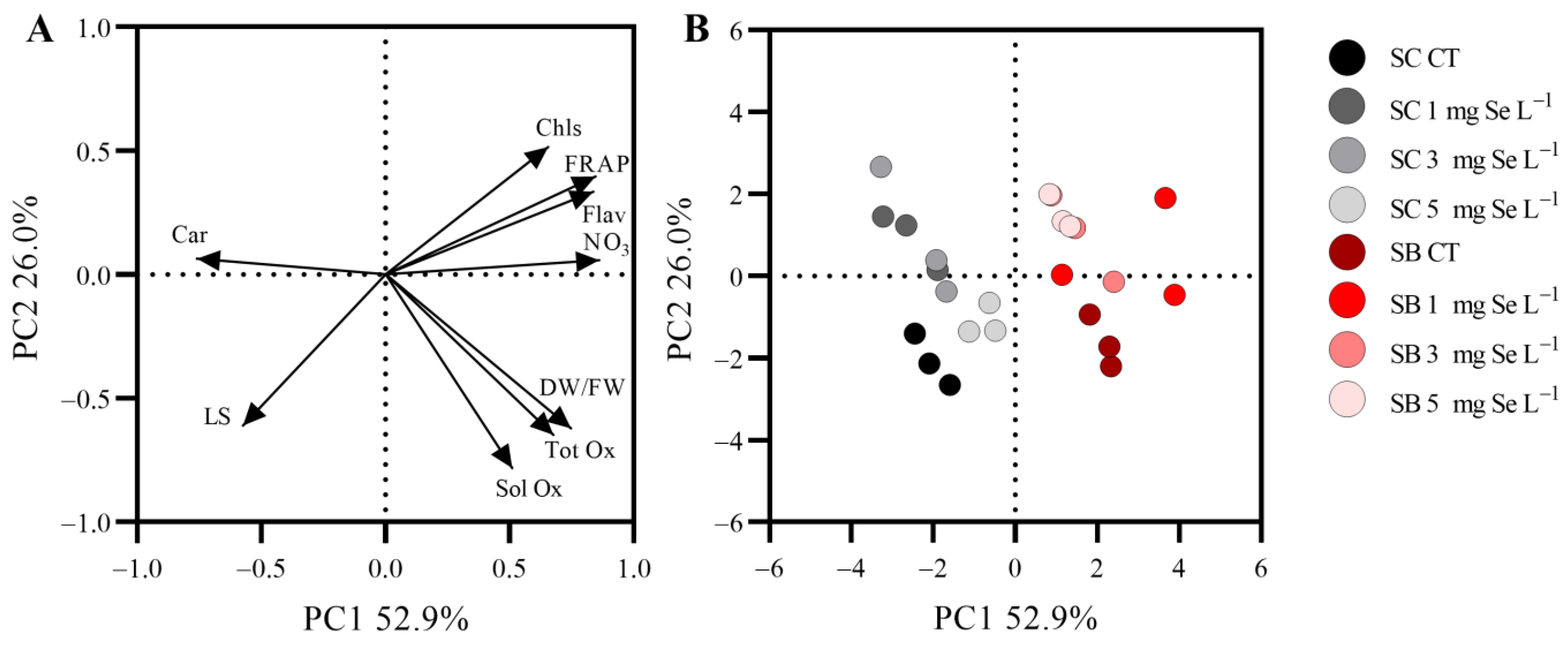 Horticulturae 09 00909 g003