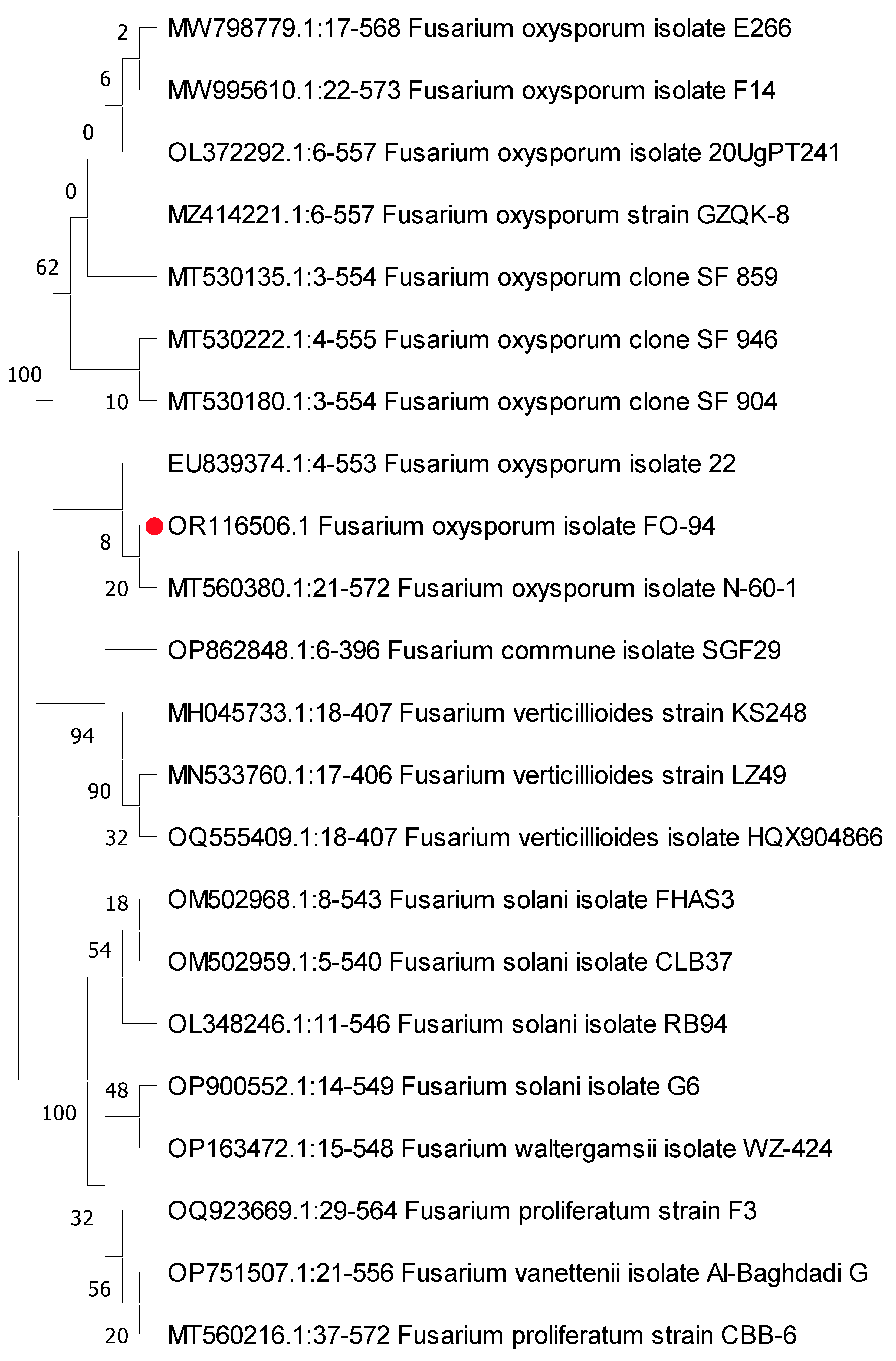 Horticulturae 09 00912 g002