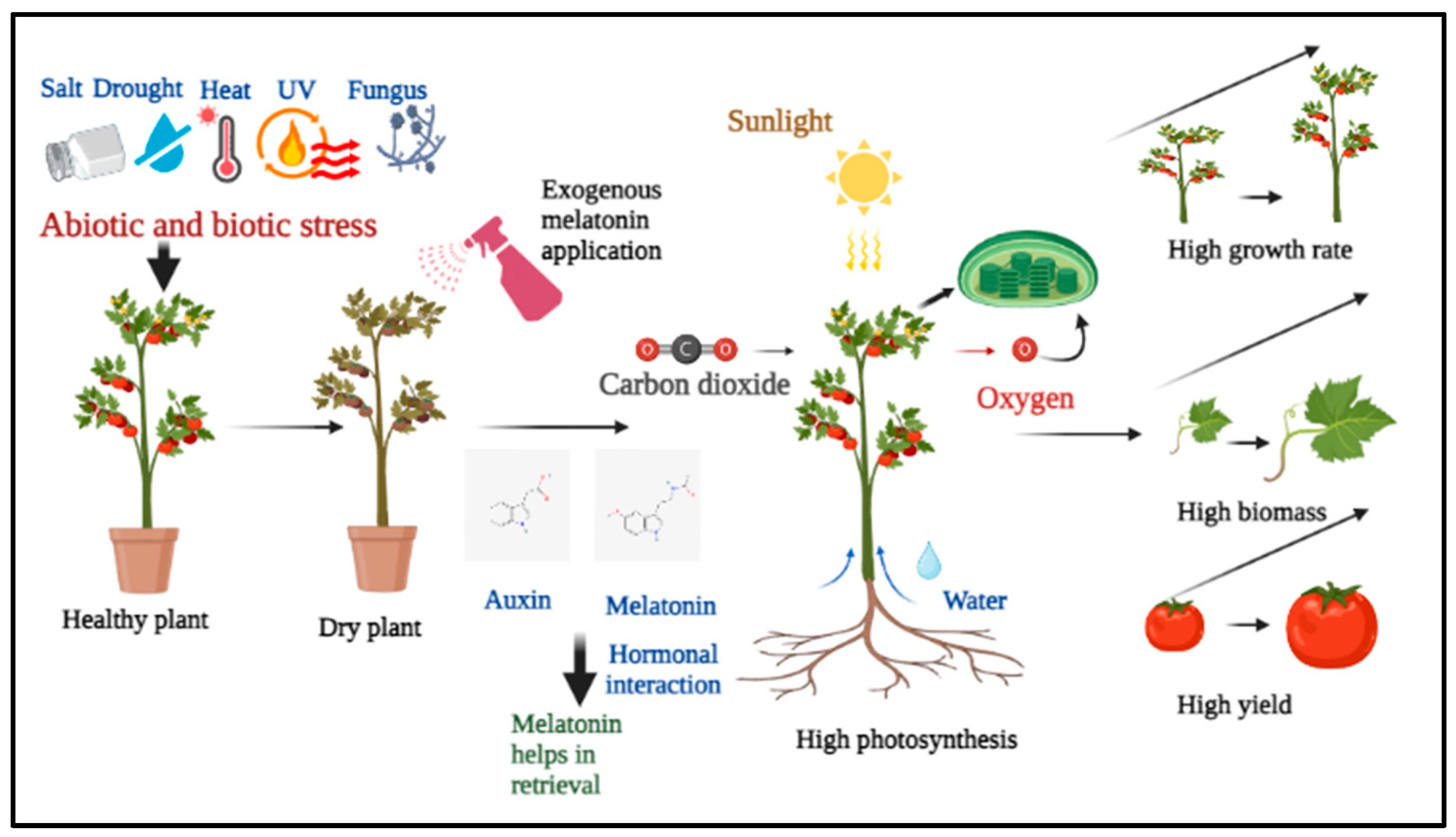 Horticulturae 09 00913 g001