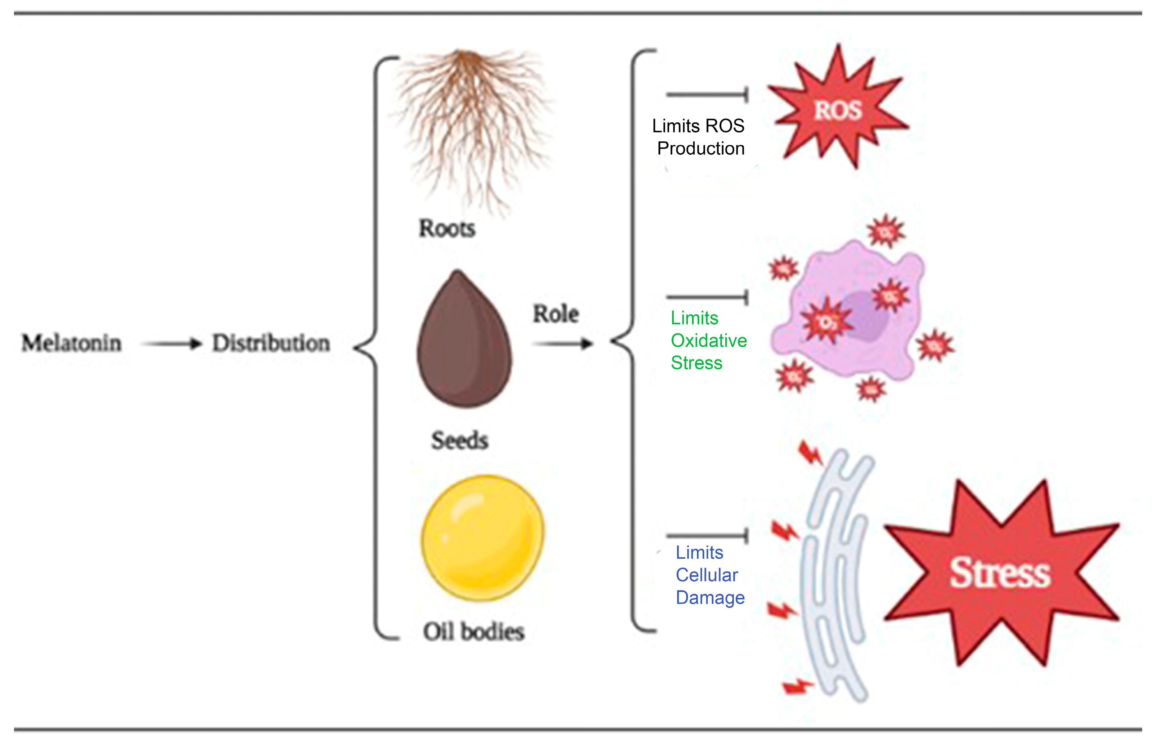 Horticulturae 09 00913 g003