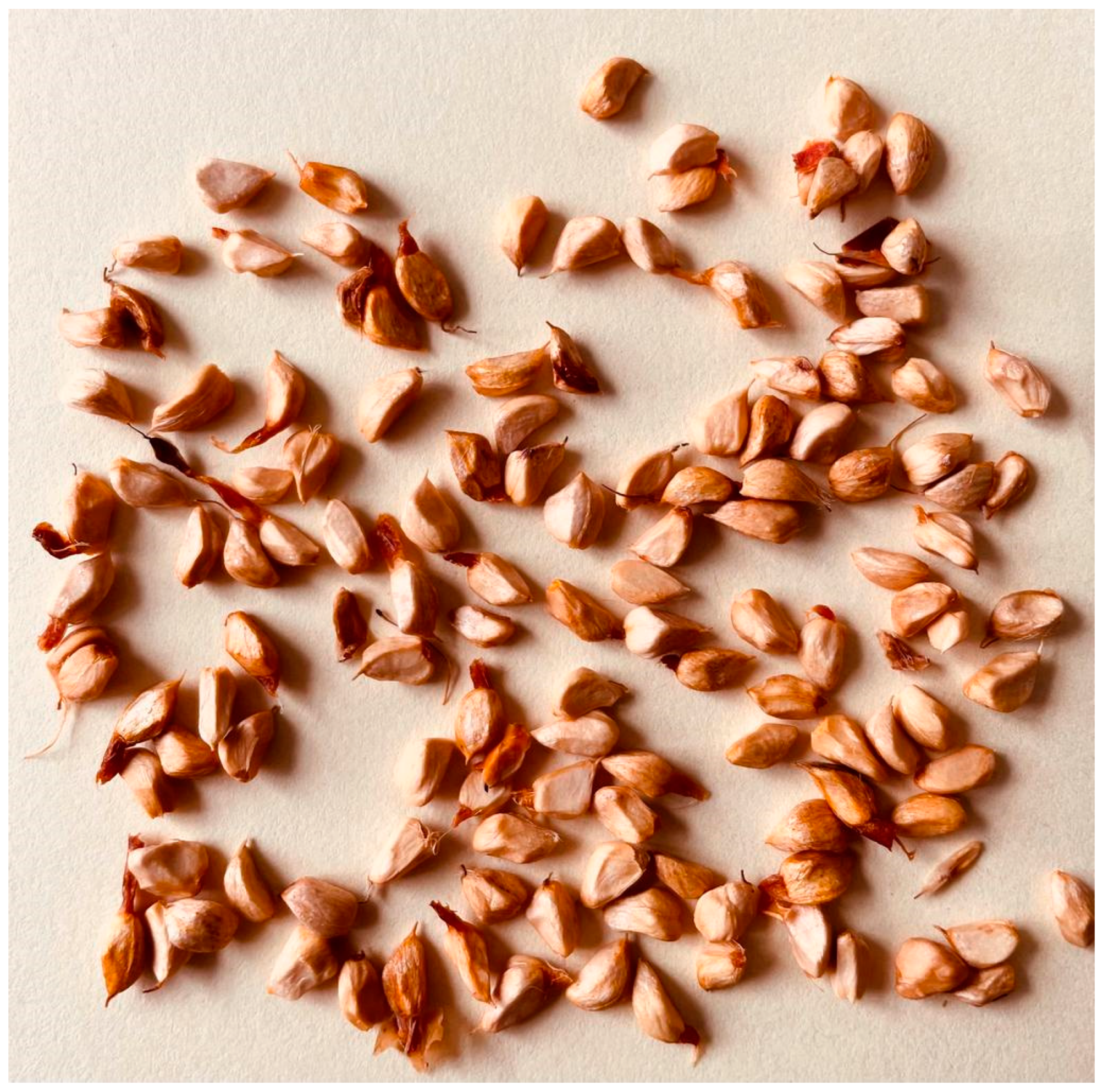 Horticulturae 09 00914 g005 Horticulturae 09 00914 g005