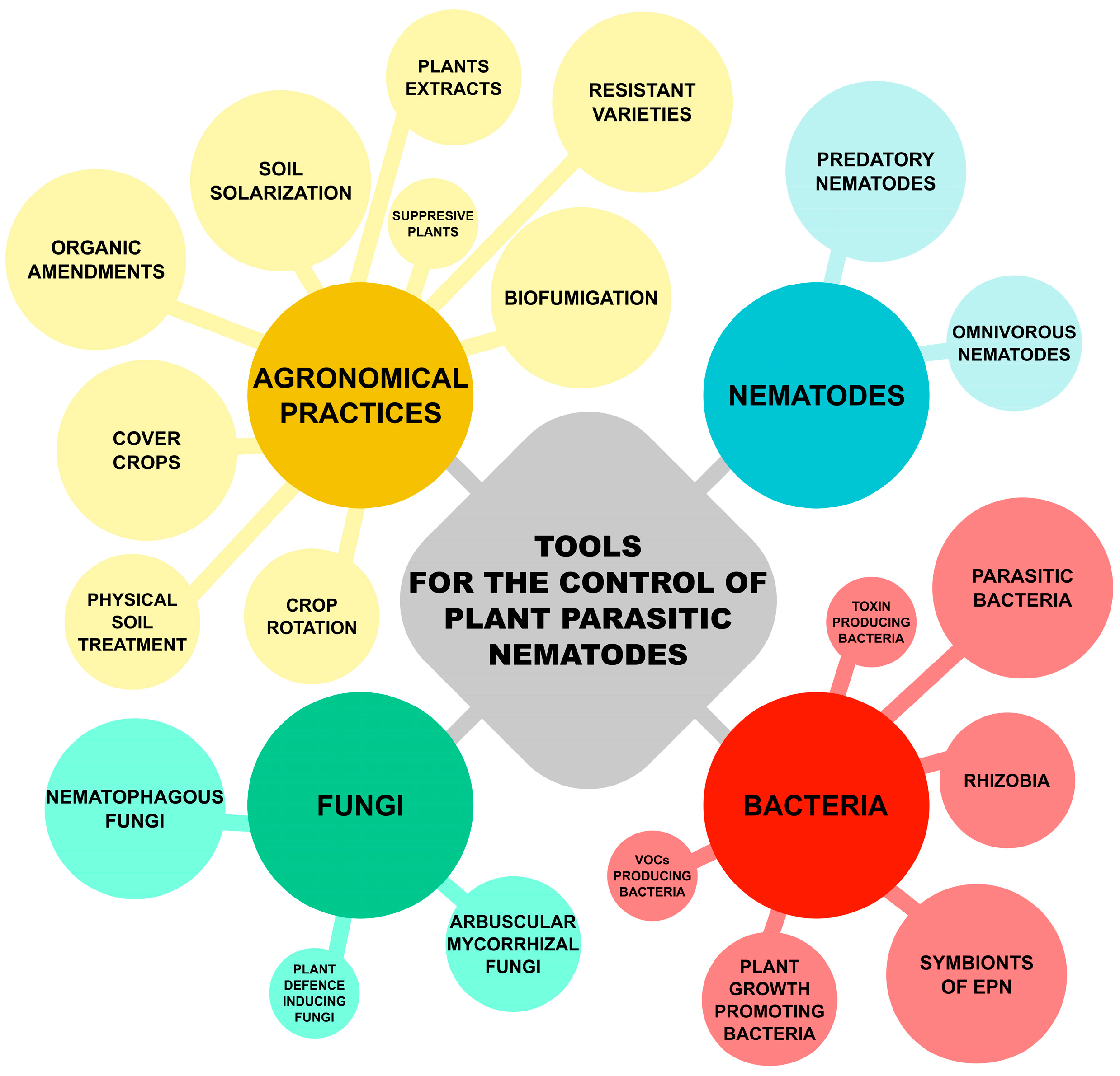 Horticulturae 09 00920 g002