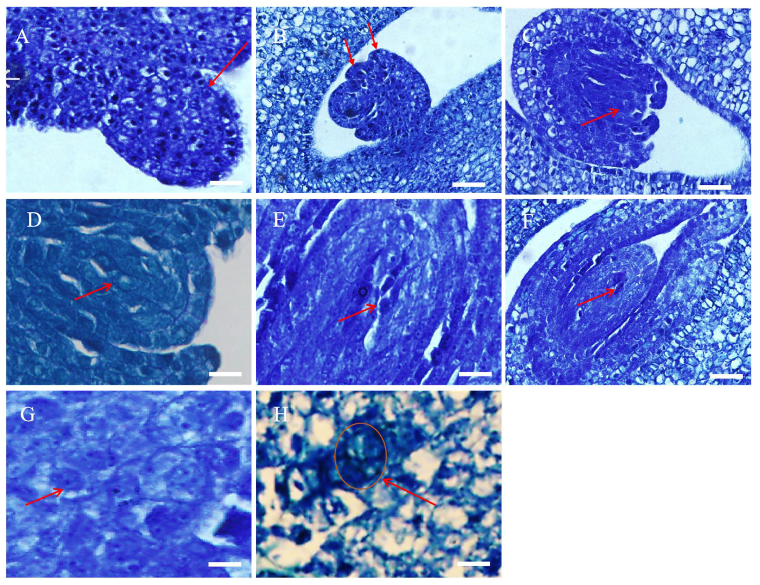 Horticulturae 09 00926 g003 Horticulturae 09 00926 g003