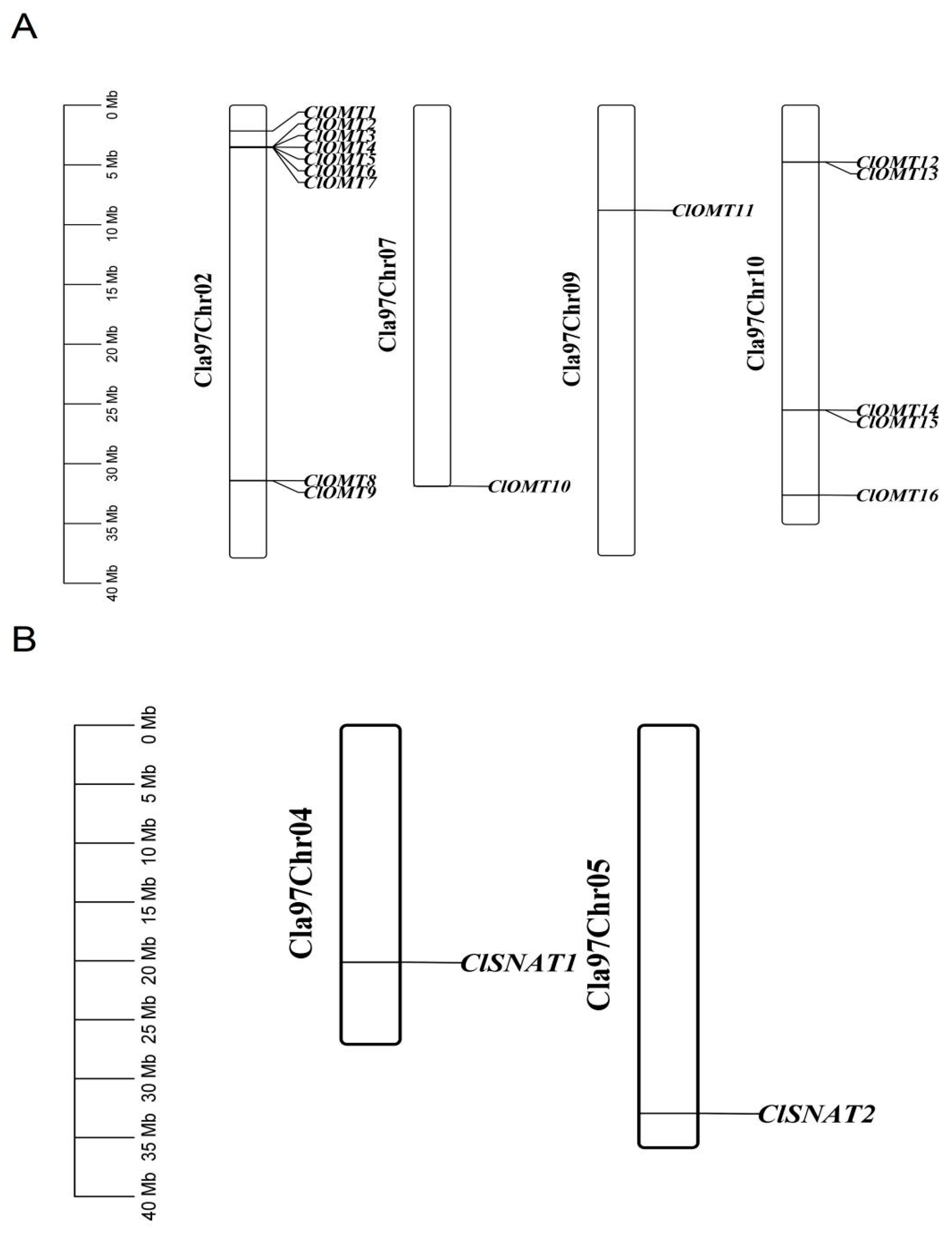 Horticulturae 09 00927 g004
