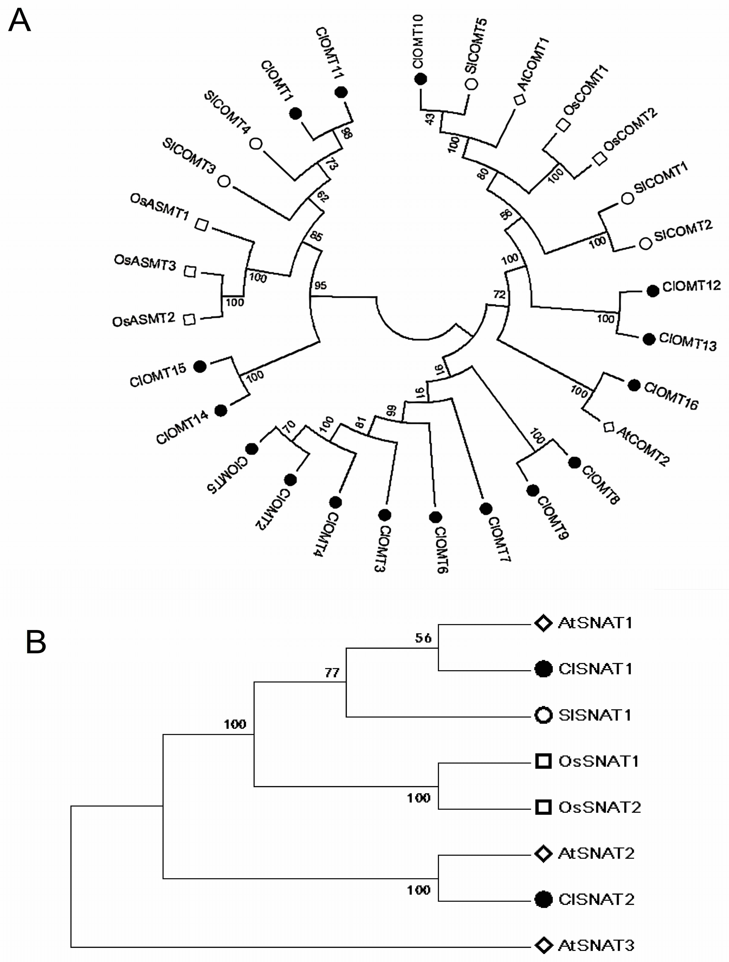 Horticulturae 09 00927 g005