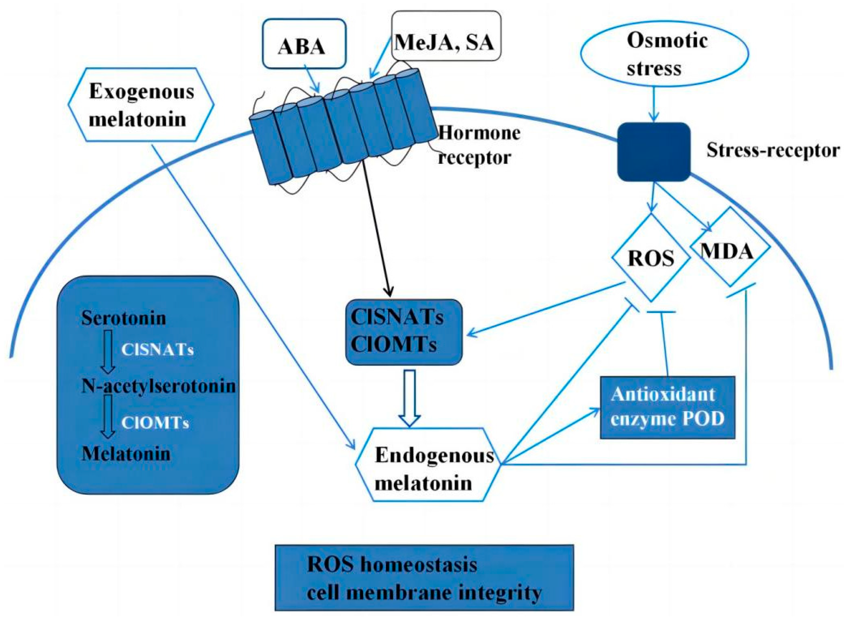 Horticulturae 09 00927 g009