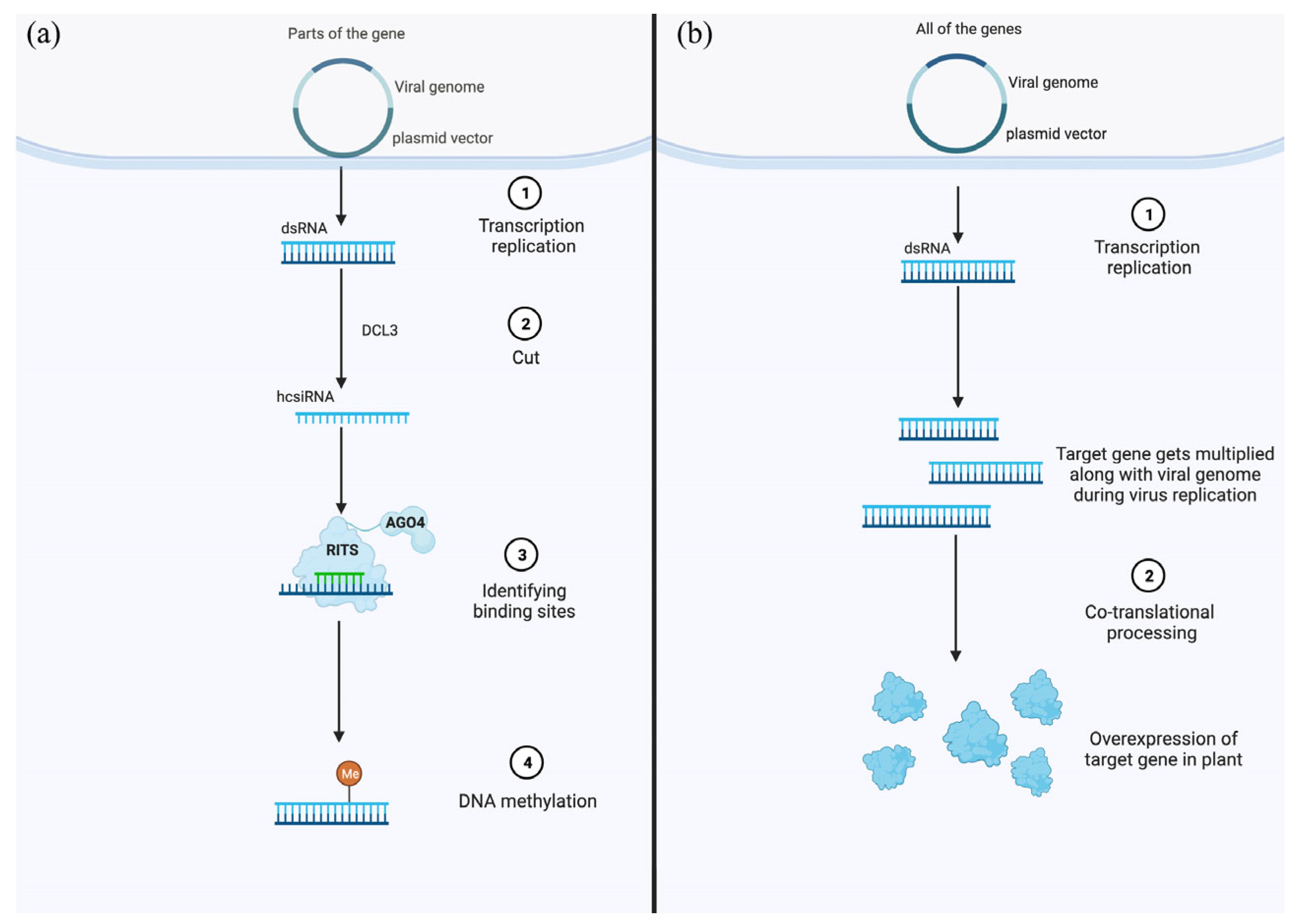 Horticulturae 09 00934 g002 Horticulturae 09 00934 g002