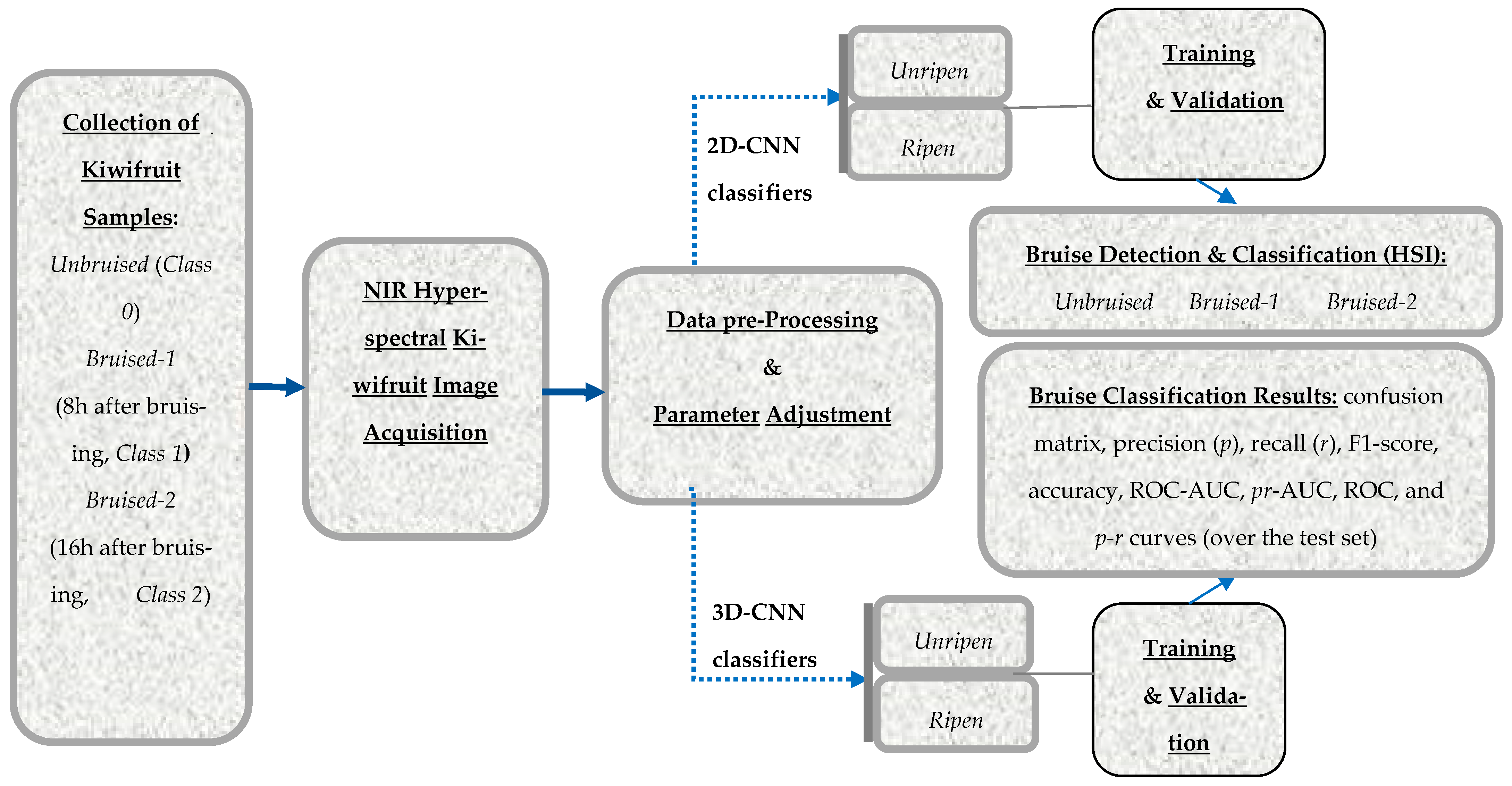 Horticulturae 09 00936 g001