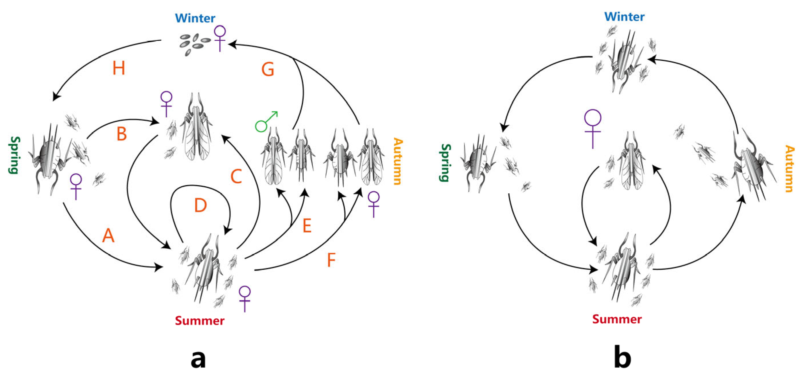 Horticulturae 09 00937 g002 Horticulturae 09 00937 g002