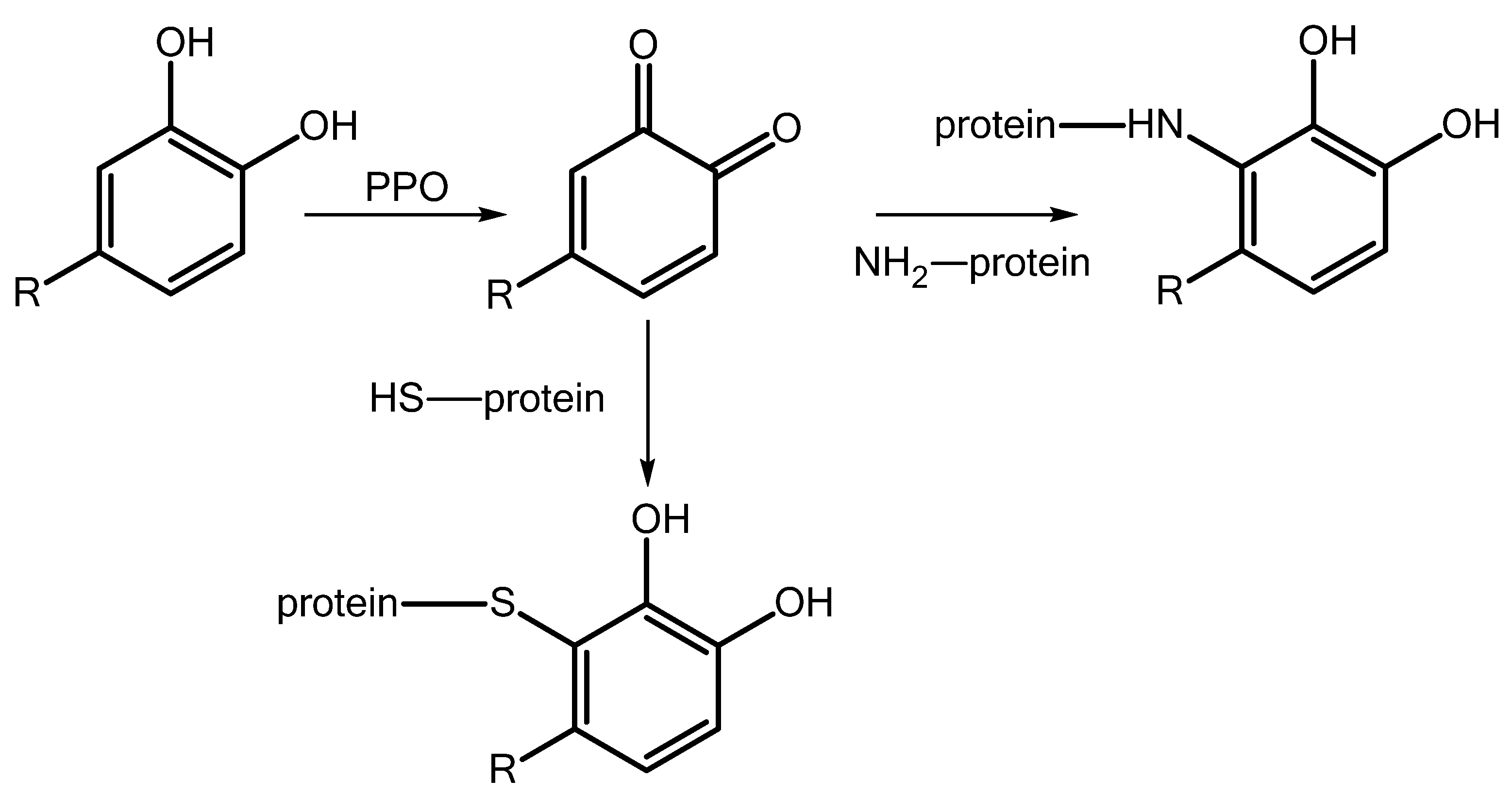 Horticulturae 09 00937 g005 Horticulturae 09 00937 g005