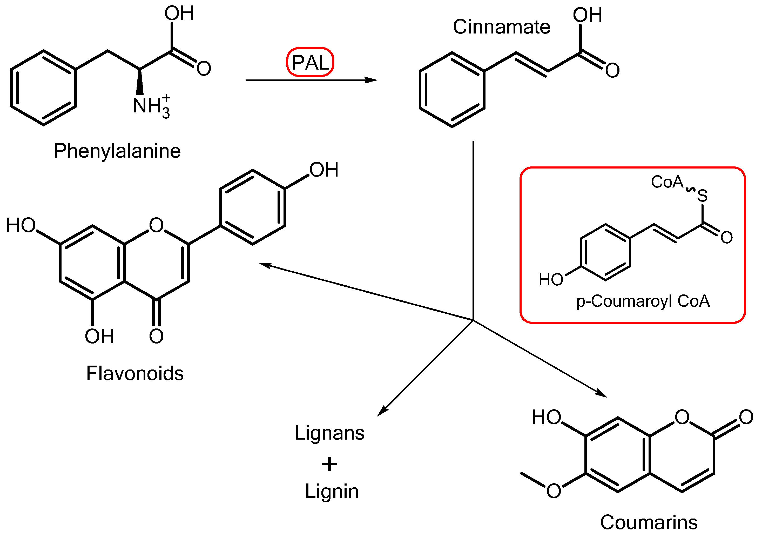 Horticulturae 09 00937 g006 Horticulturae 09 00937 g006