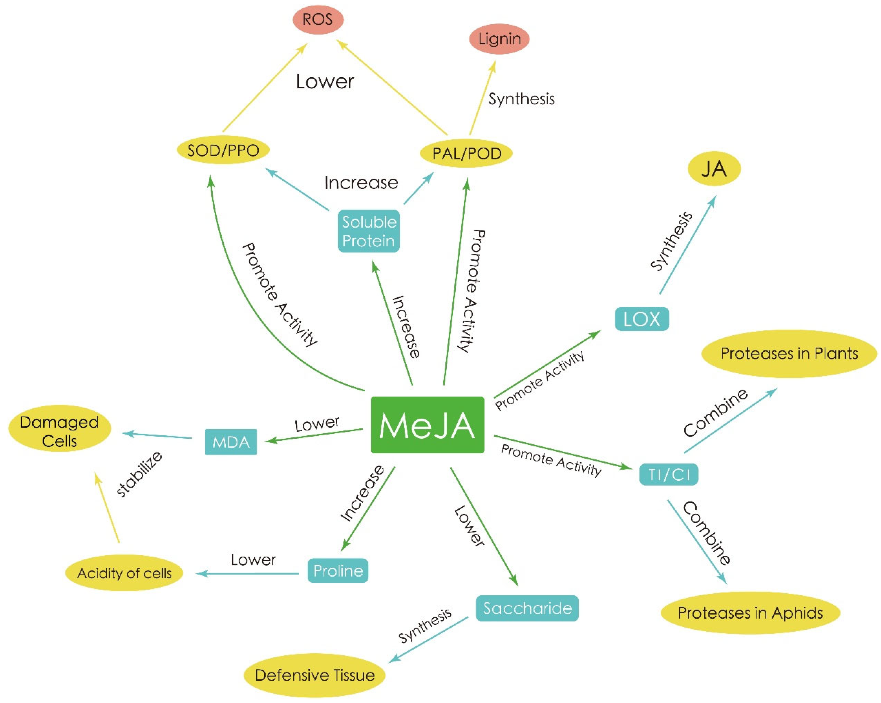 Horticulturae 09 00937 g007 Horticulturae 09 00937 g007