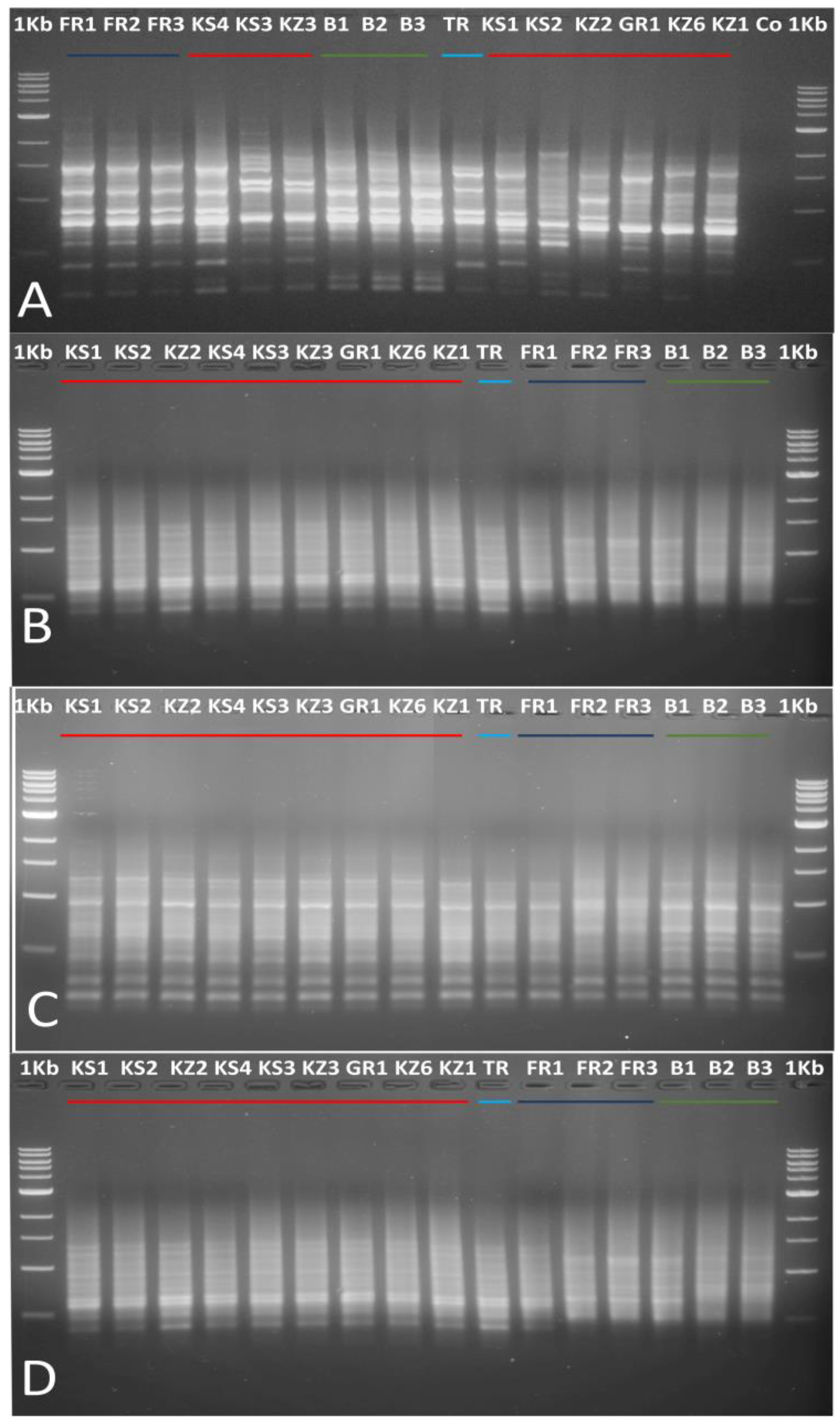 Horticulturae 09 00946 g002 Horticulturae 09 00946 g002