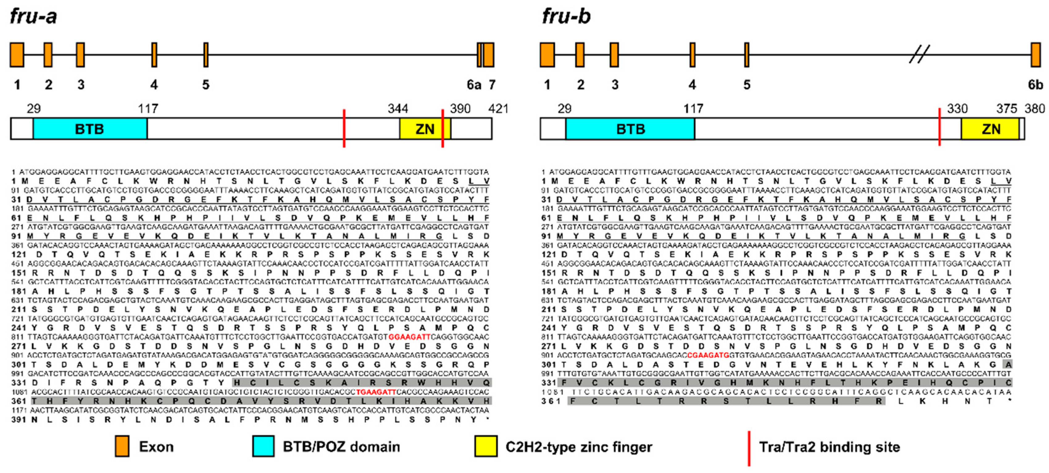 Horticulturae 09 00962 g001