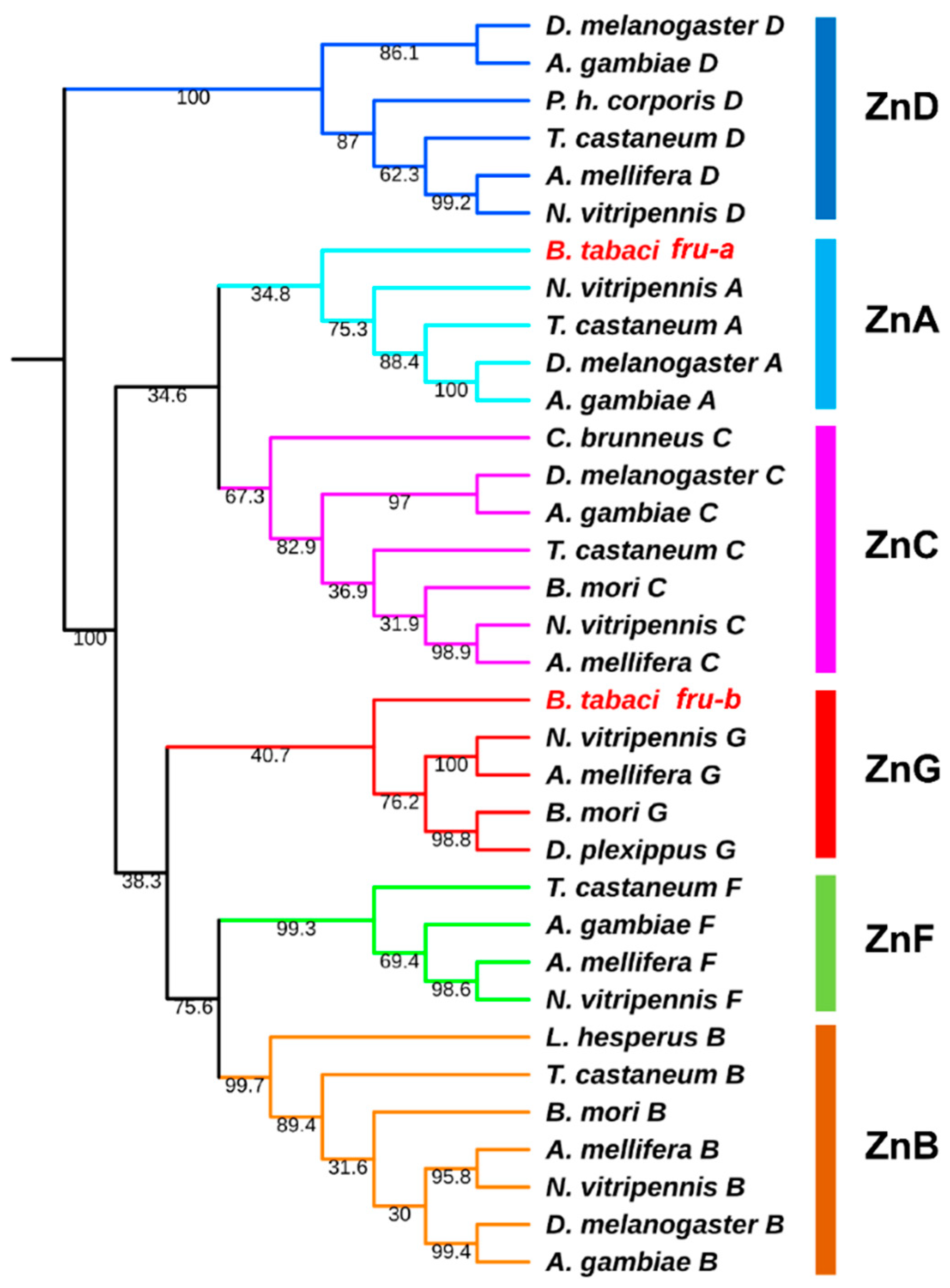 Horticulturae 09 00962 g002