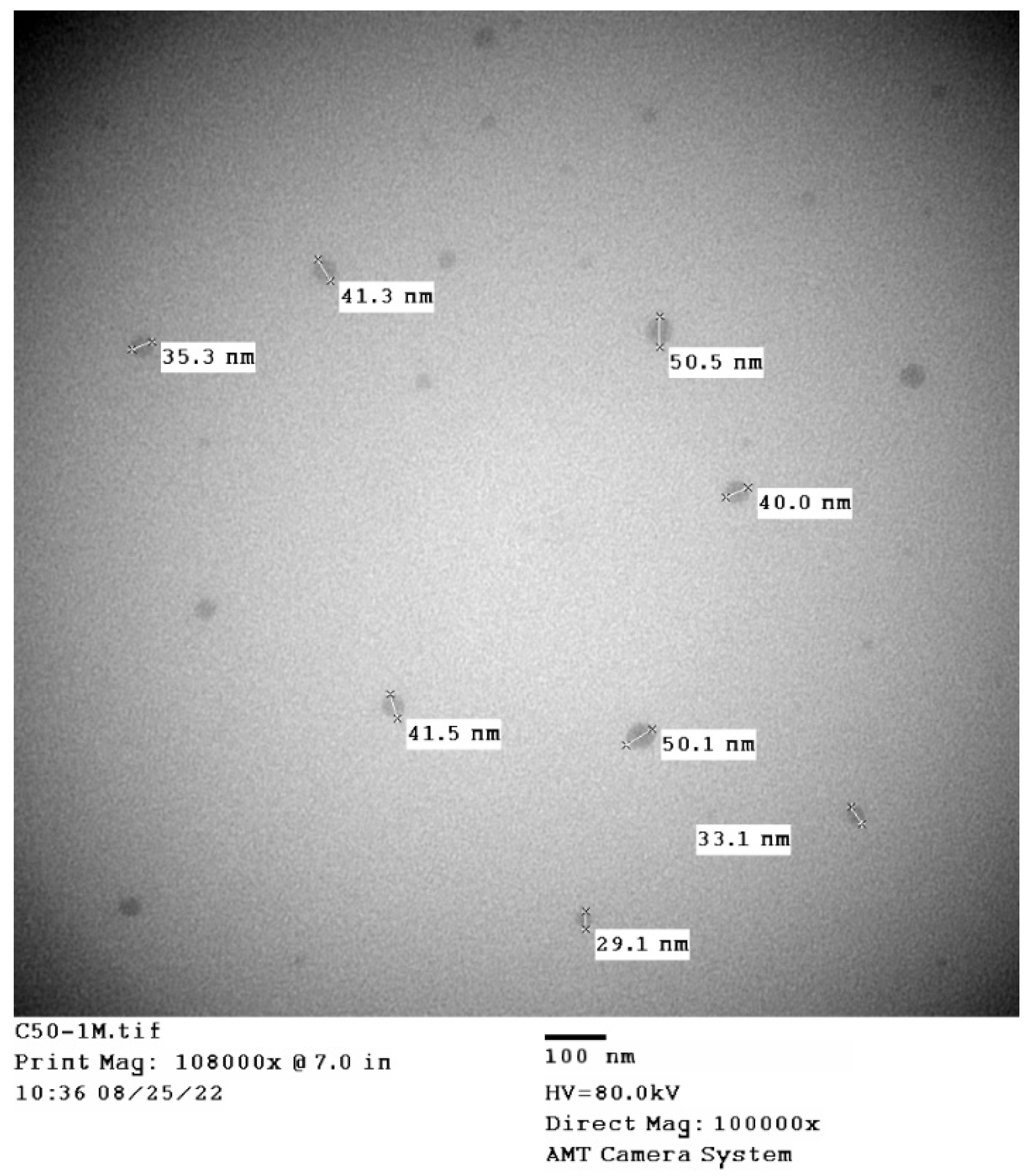 Horticulturae 09 00975 g001