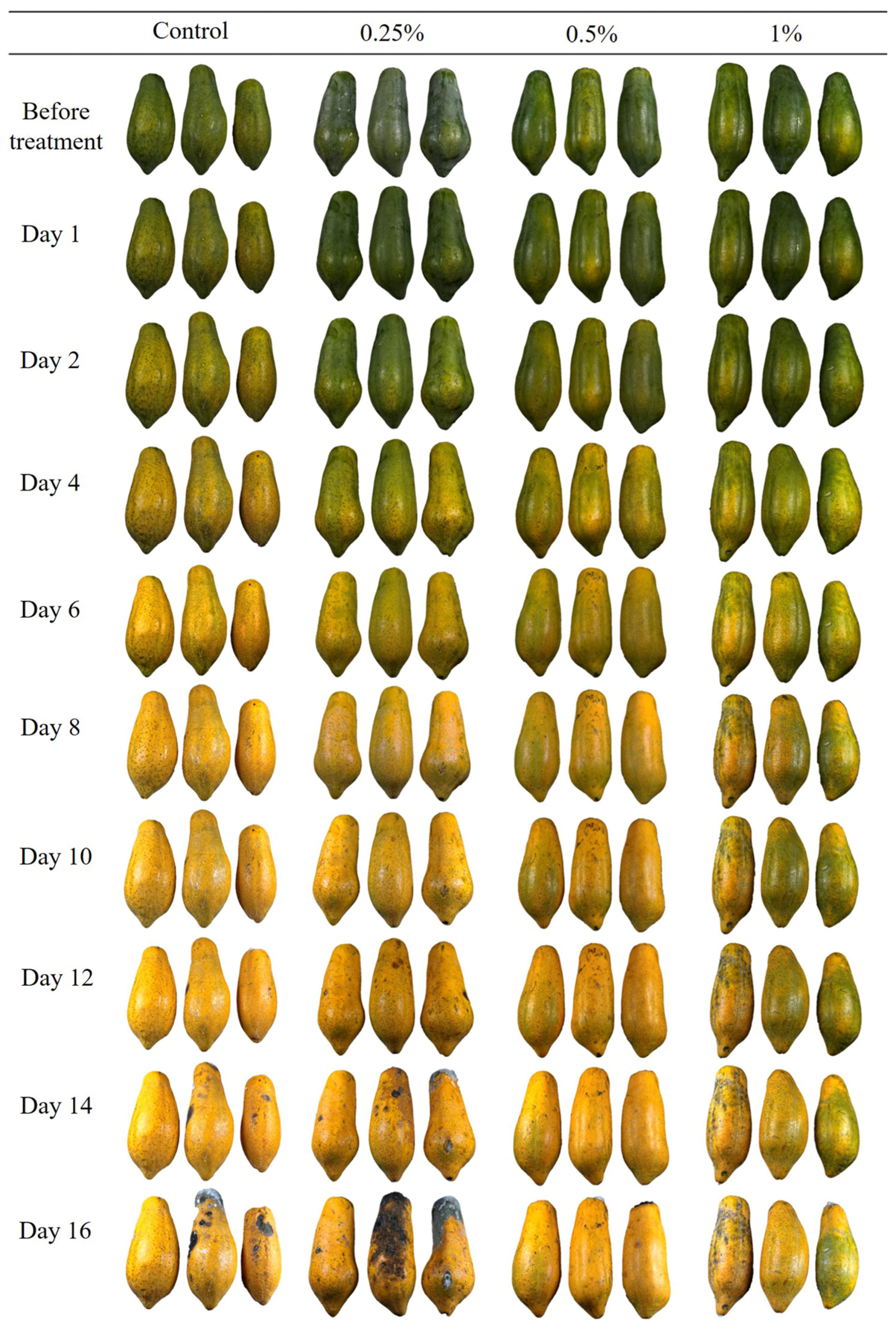 Horticulturae 09 00975 g011