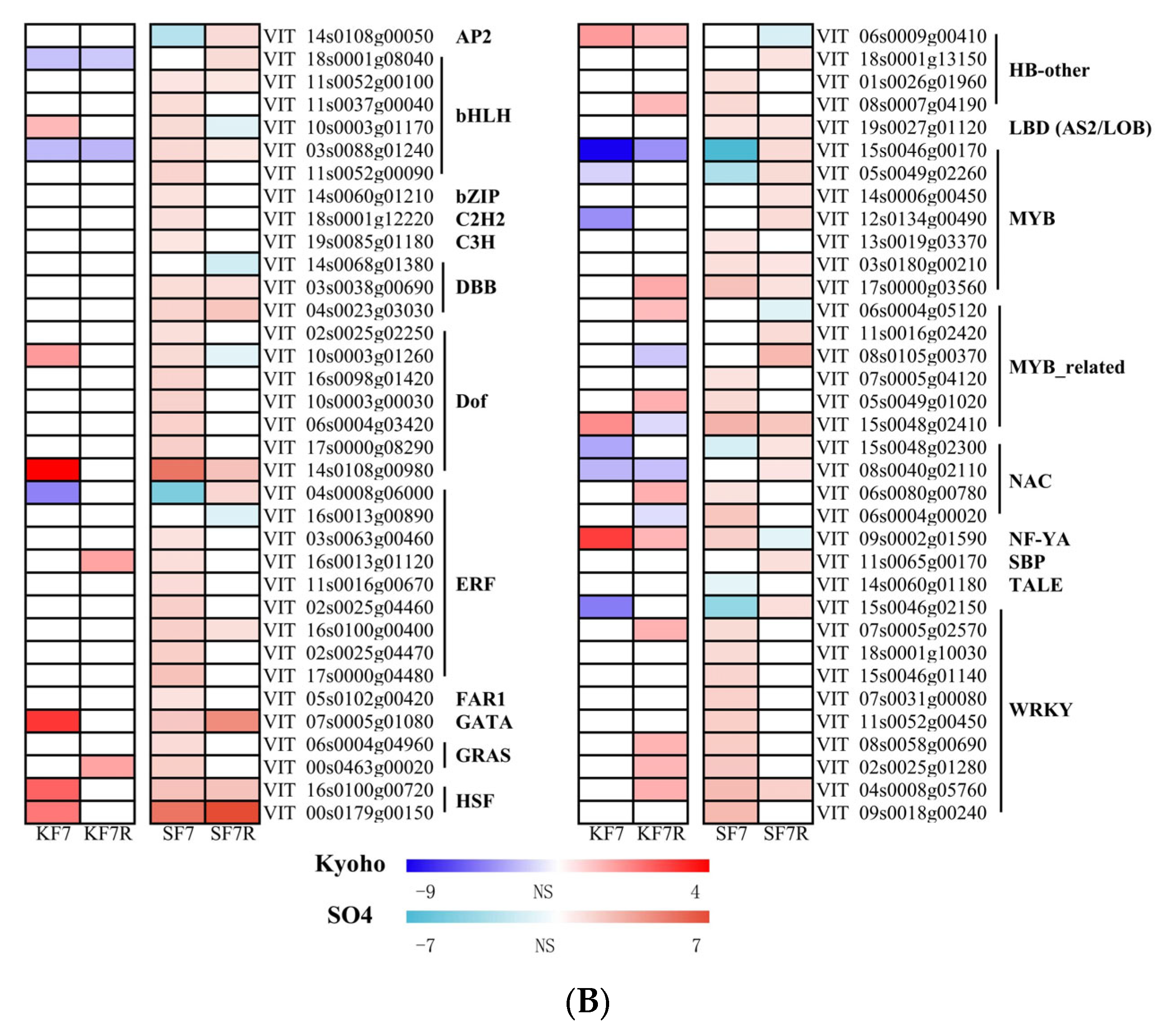 Horticulturae 09 00980 g003b