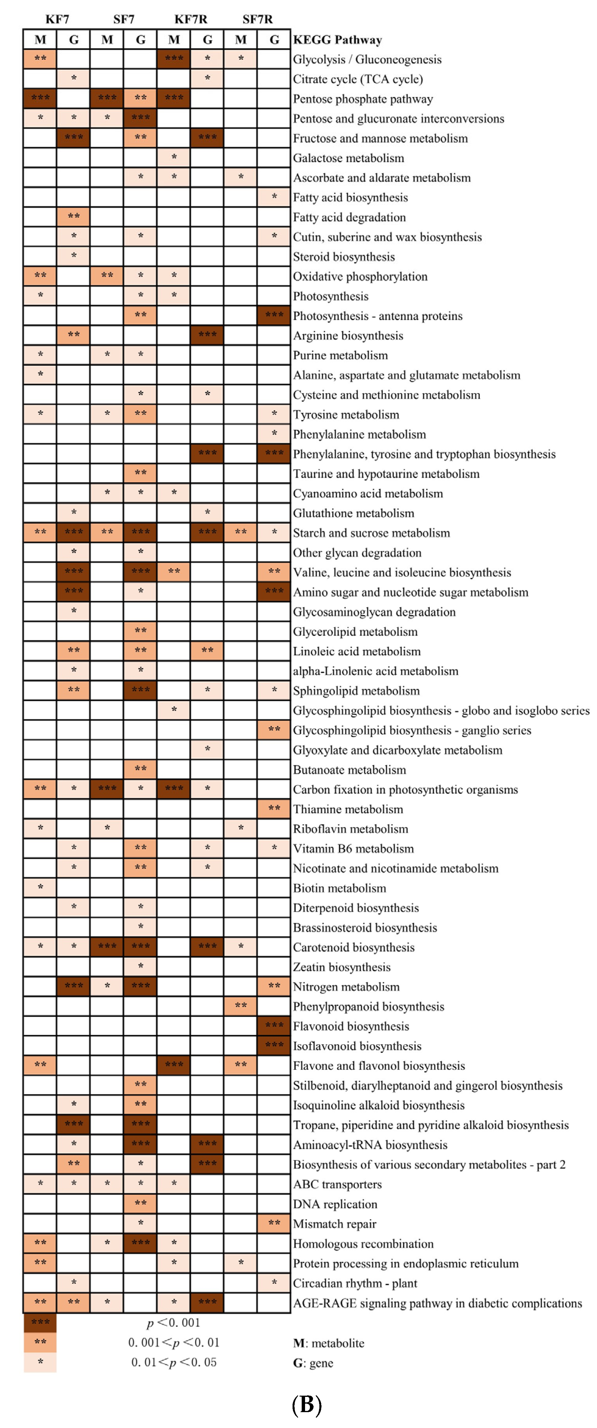 Horticulturae 09 00980 g006b