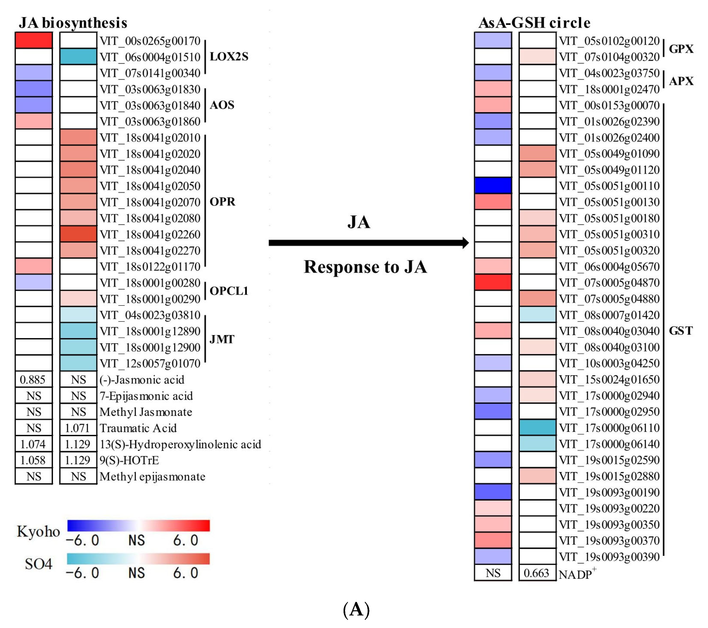 Horticulturae 09 00980 g007a