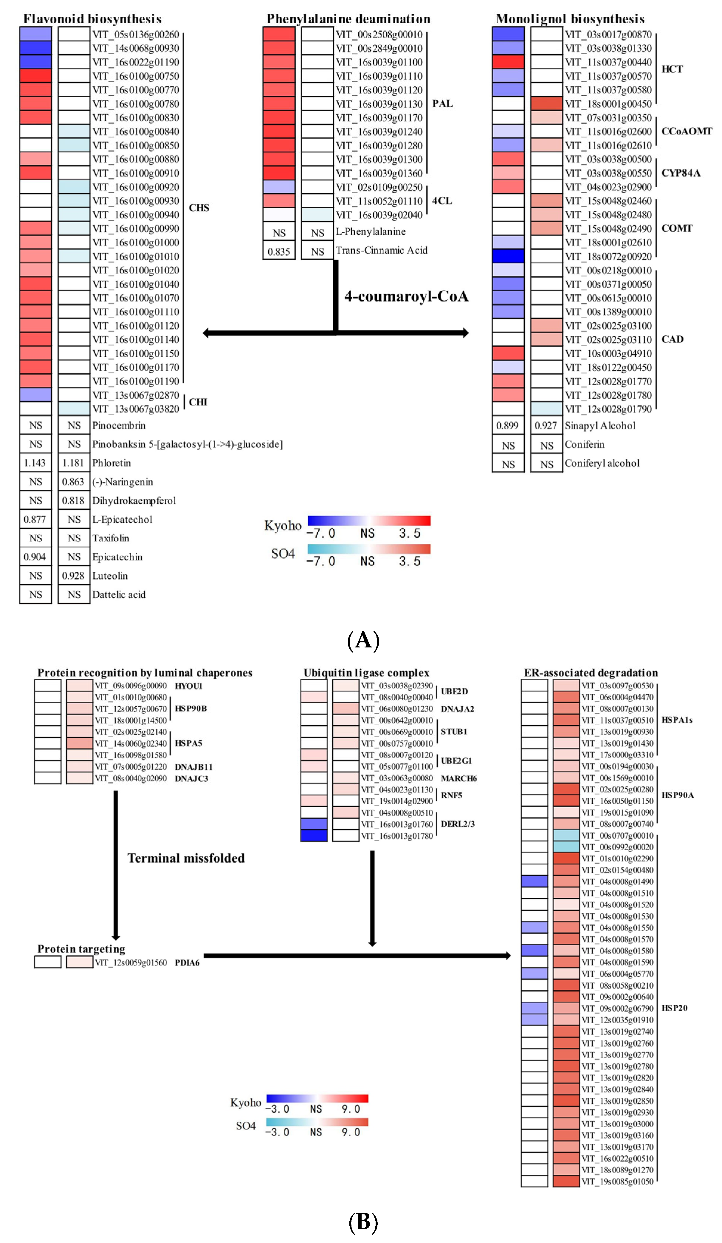 Horticulturae 09 00980 g010
