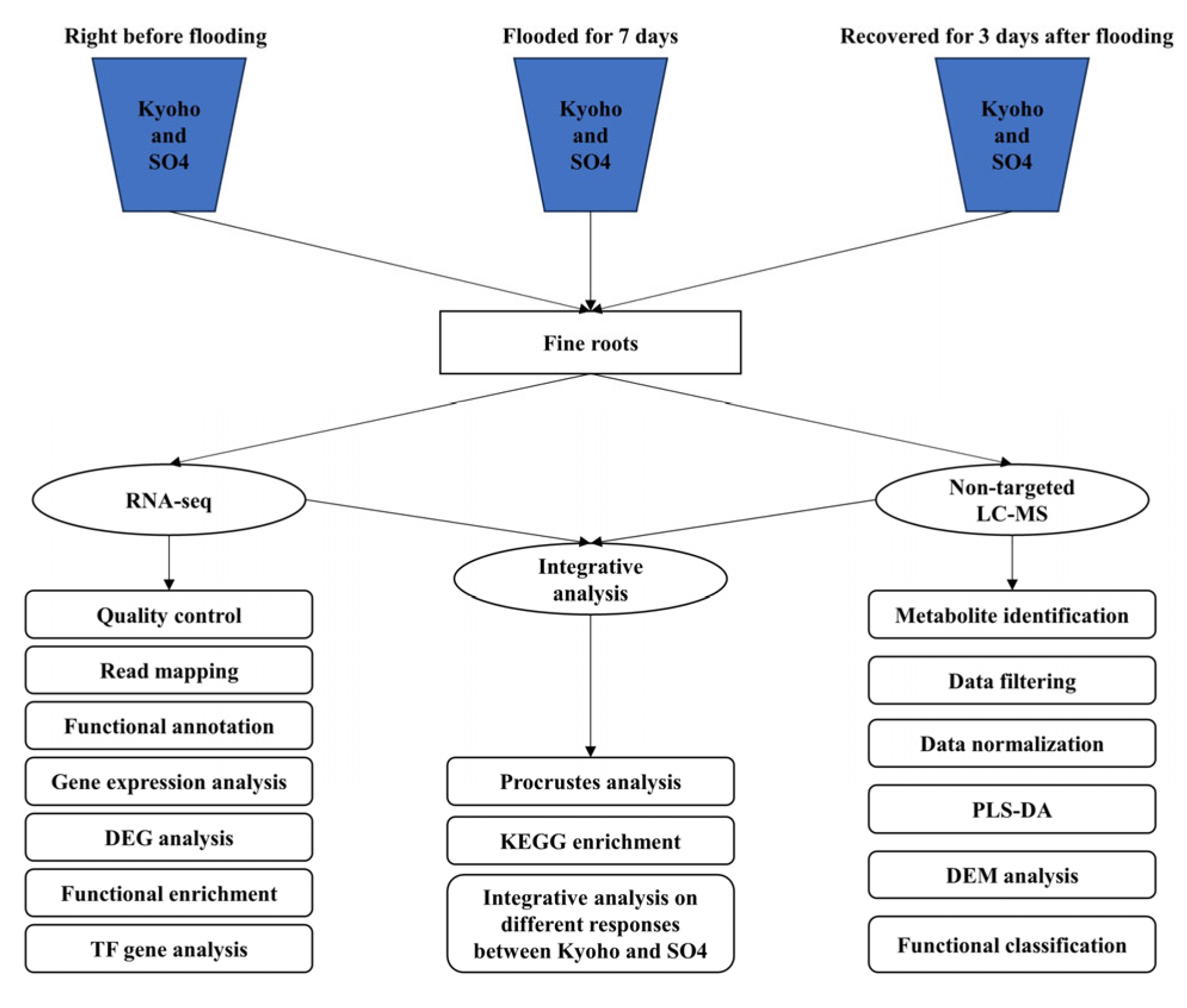 Horticulturae 09 00980 g011