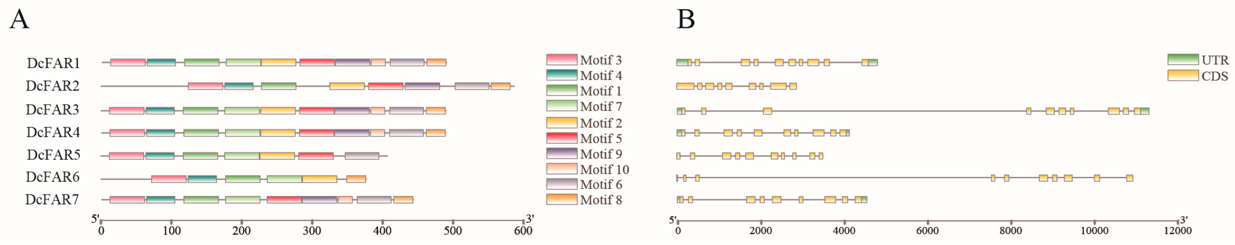 Horticulturae 09 00982 g002