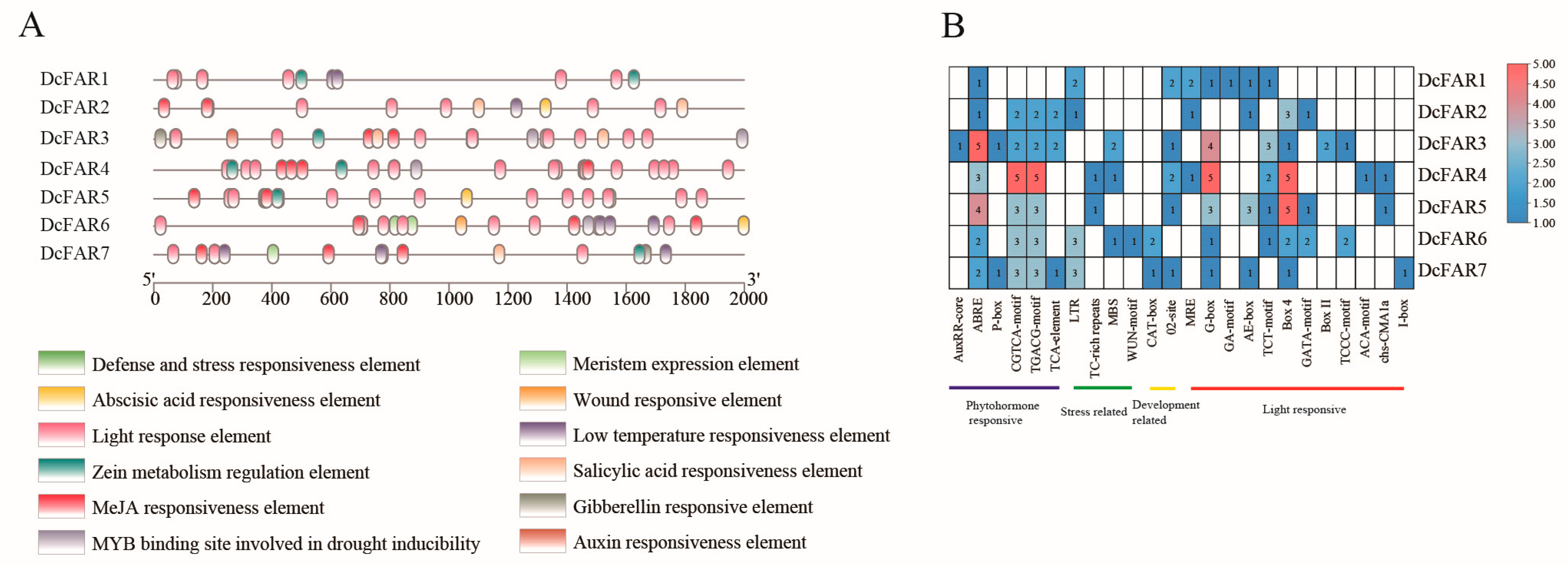 Horticulturae 09 00982 g003
