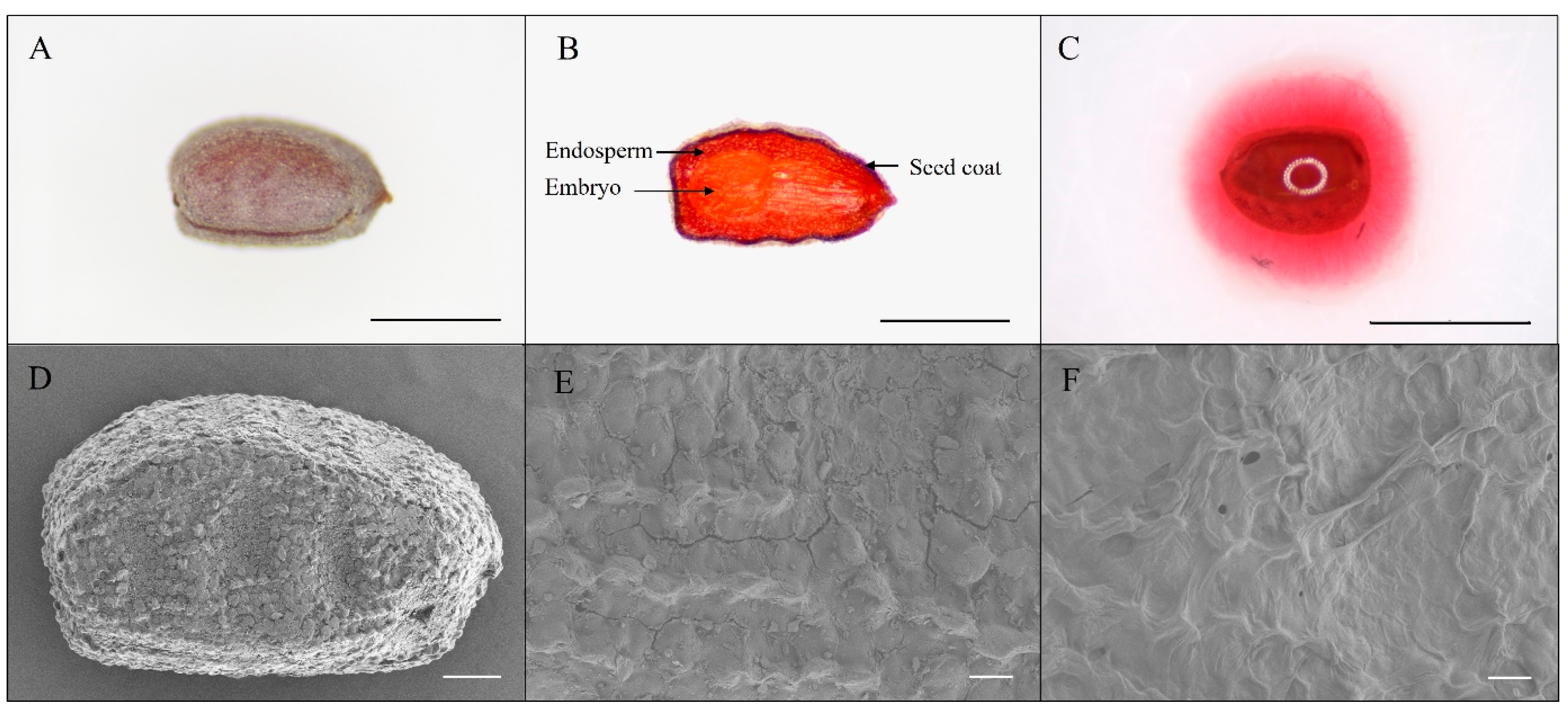 Horticulturae 09 00990 g001