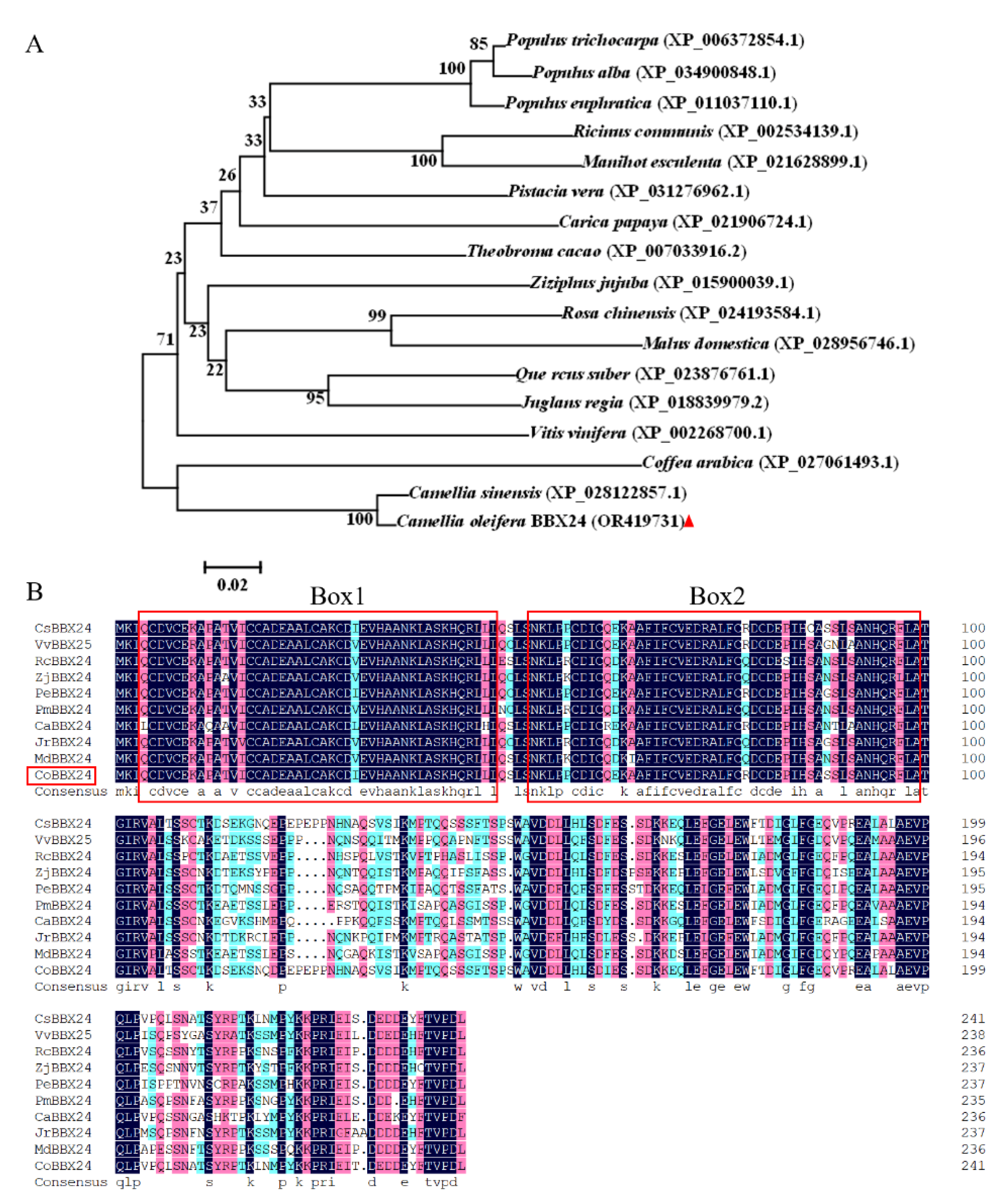 Horticulturae 09 00991 g001