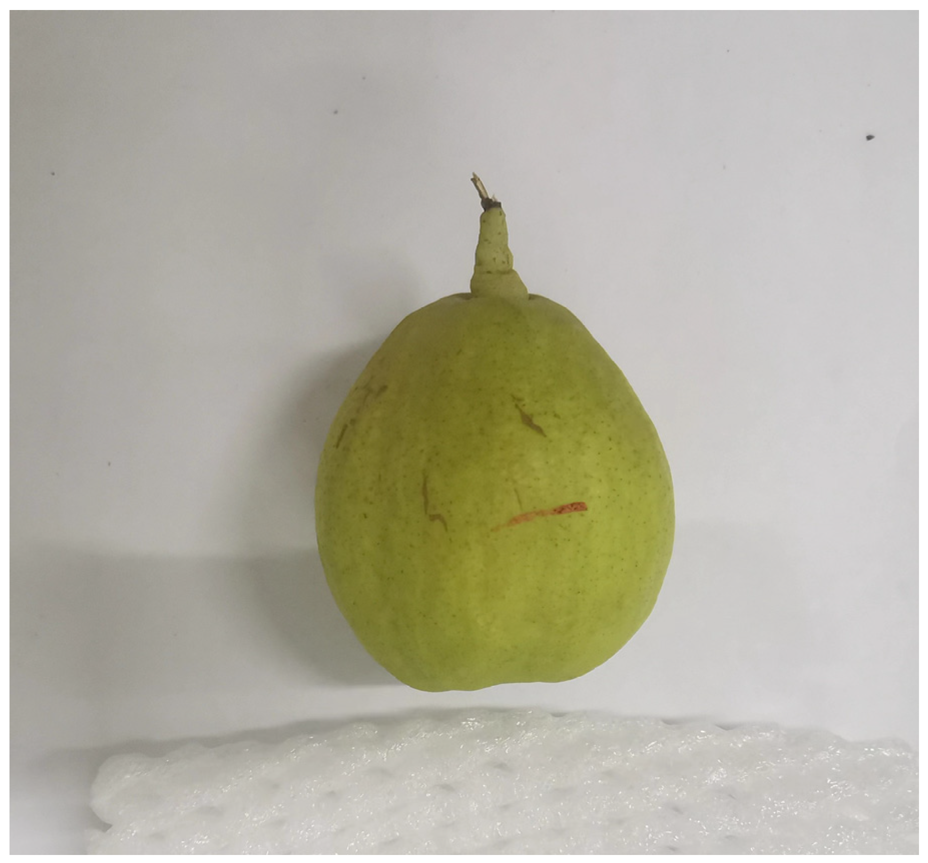 Horticulturae 09 00993 g001