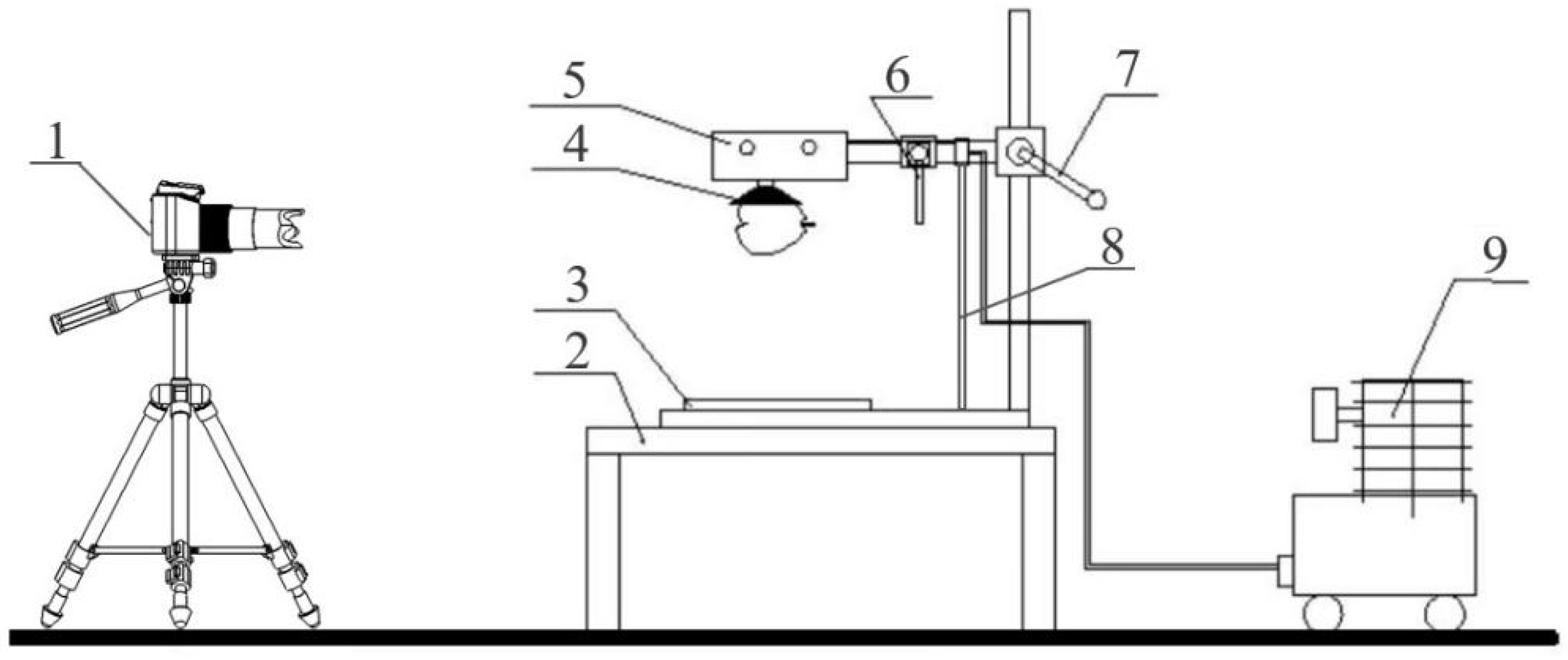 Horticulturae 09 00993 g002