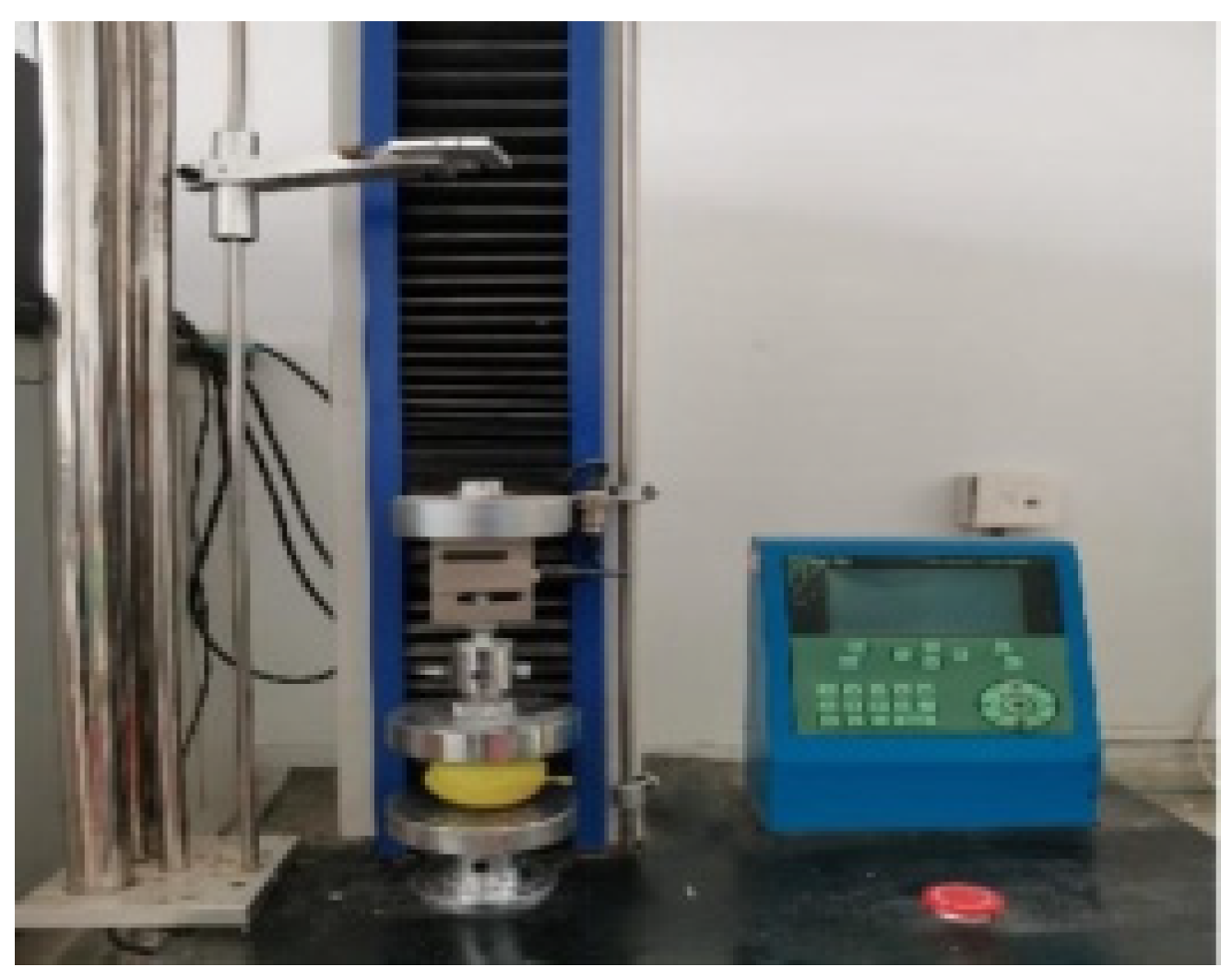 Horticulturae 09 00993 g003