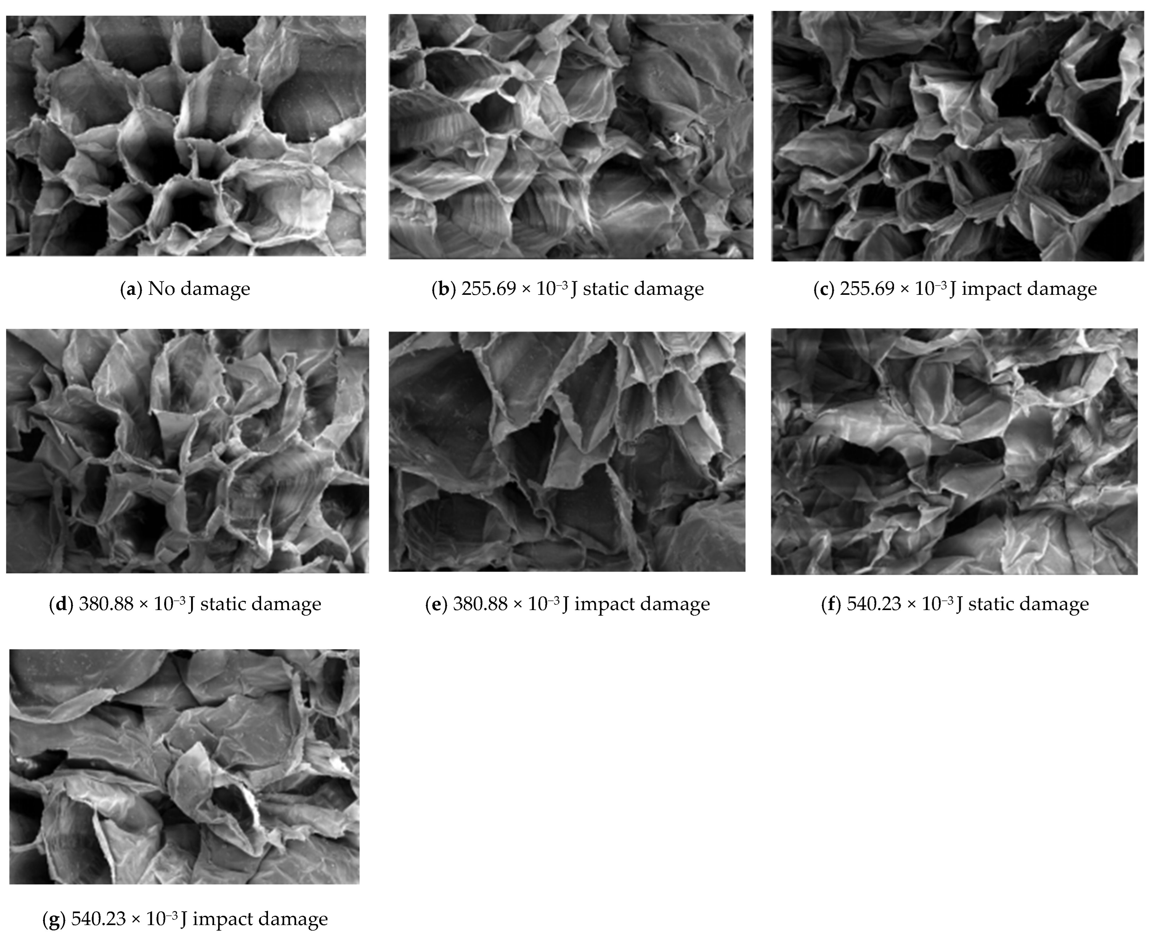 Horticulturae 09 00993 g010