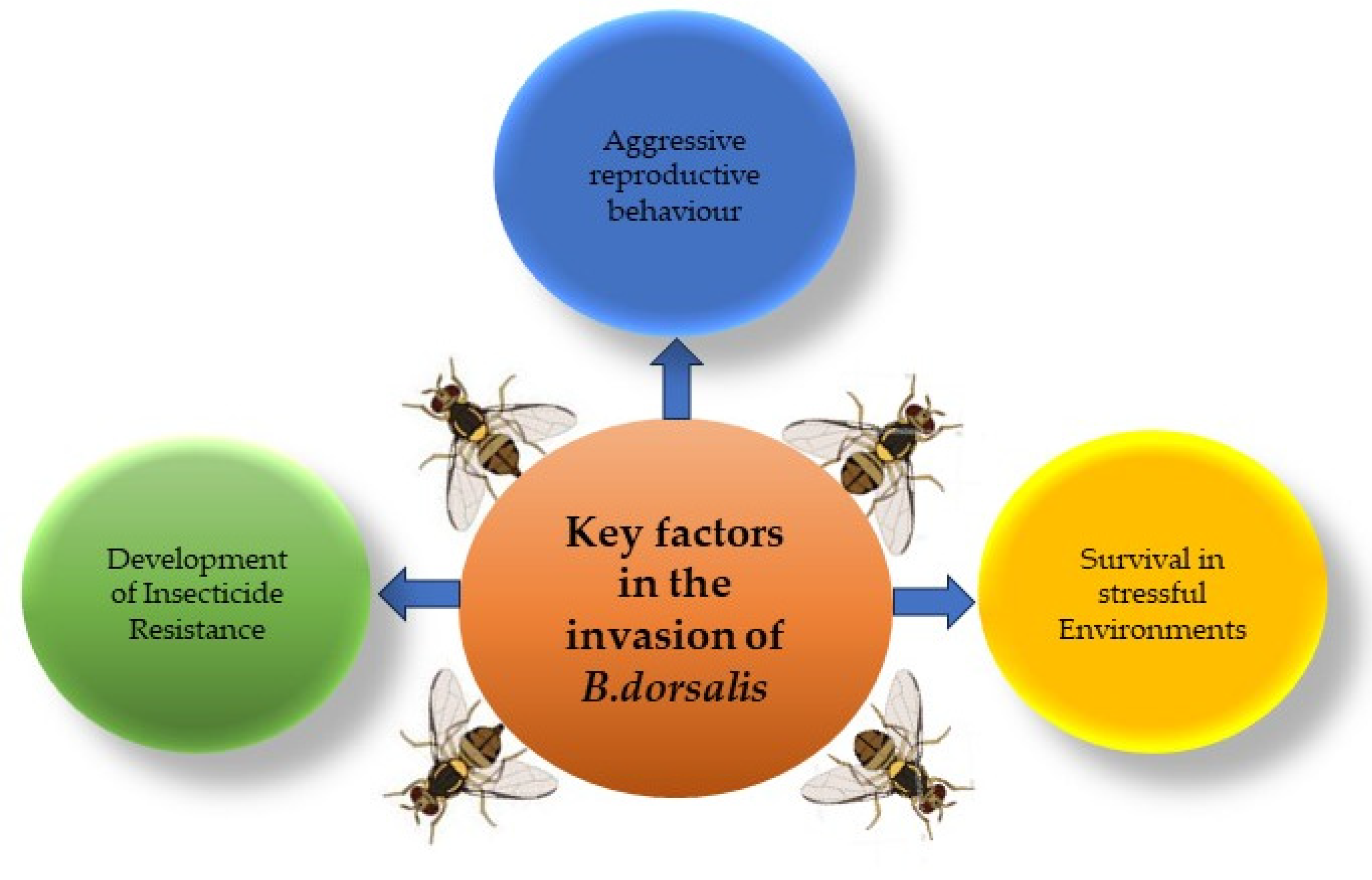 Horticulturae 09 01004 g003