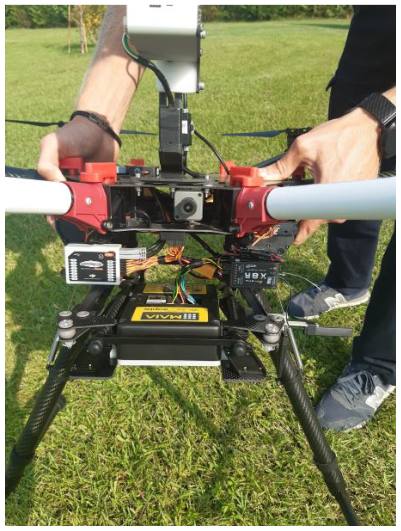 Horticulturae 09 01011 g001 Horticulturae 09 01011 g001