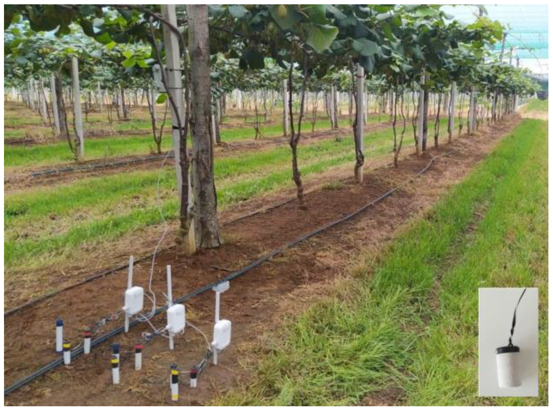 Horticulturae 09 01011 g004 Horticulturae 09 01011 g004